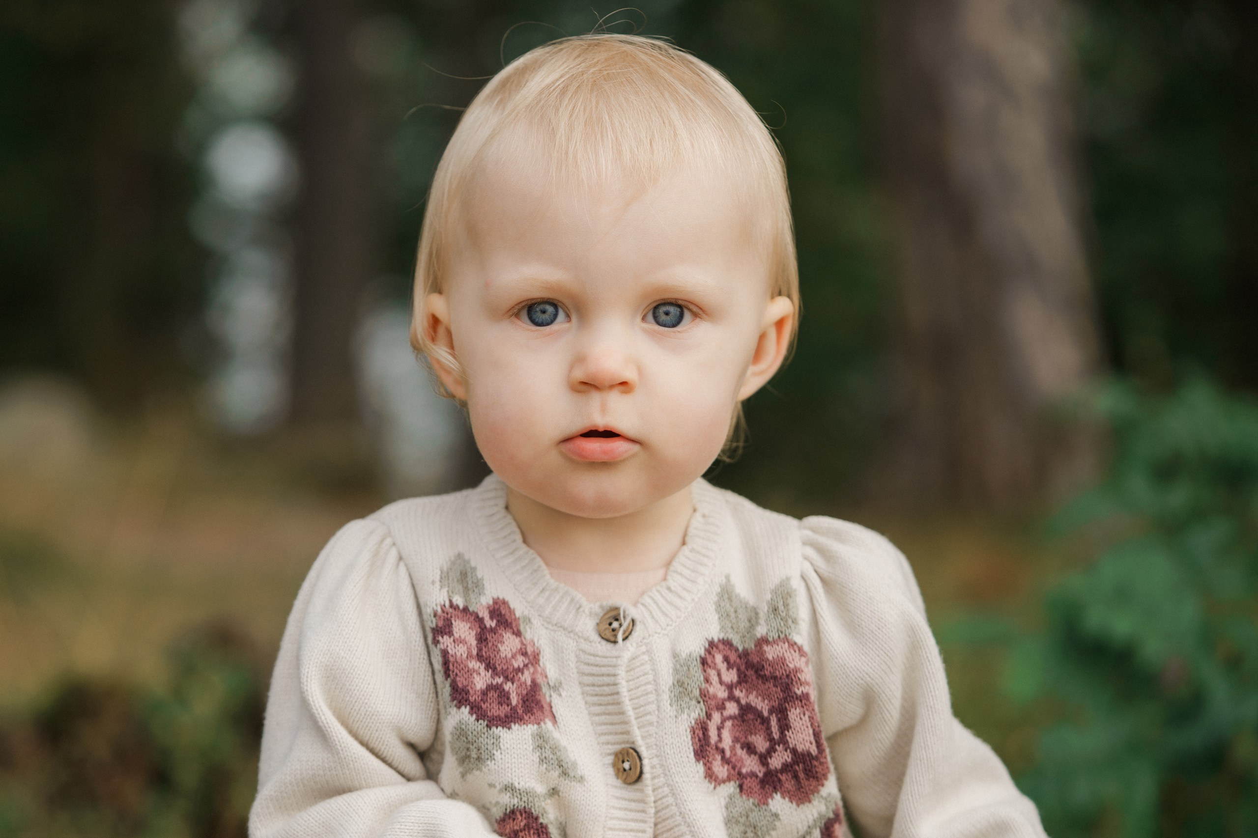 Perhekuvaus sumuisella säällä Tullisaaressa