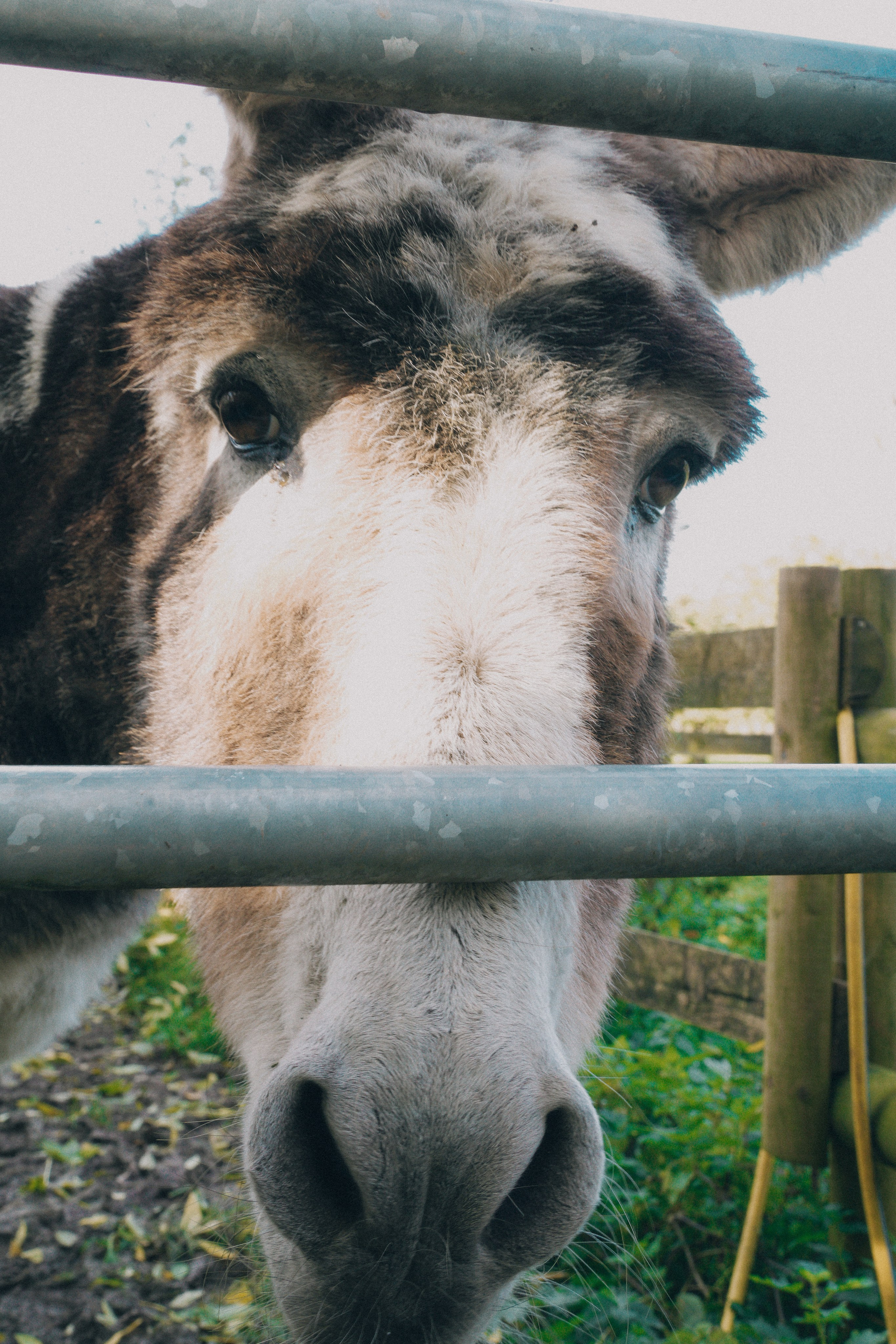 Yoga and Sound Bath Retreat. Creative Family, Brand, Boudoir and Wedding Photographer in Solihull & Birmingham Irina Zoteeva