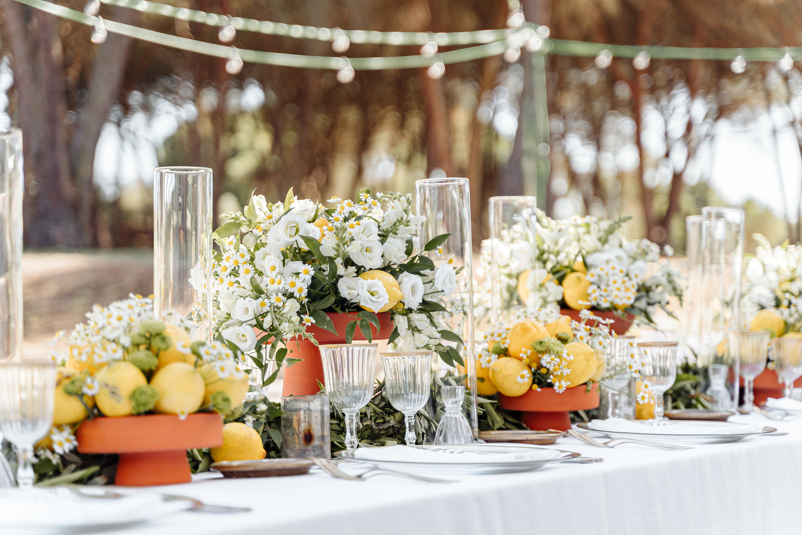 Фотограф в Португалии Александра Ефимова