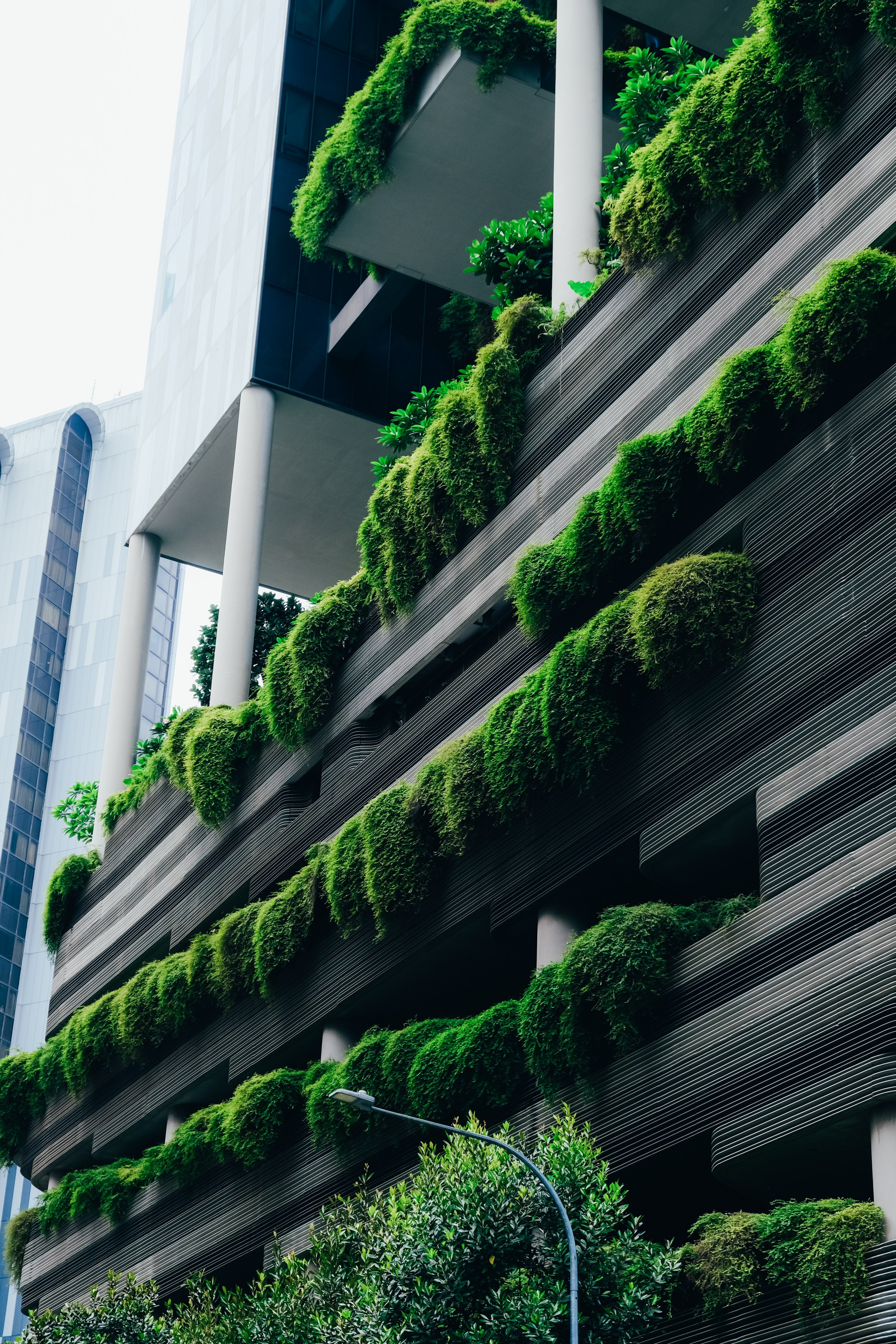 Geoponitikon-Όταν η Επιστήμη συναντά την Τέχνη στο Φυσικό Τοπίο!