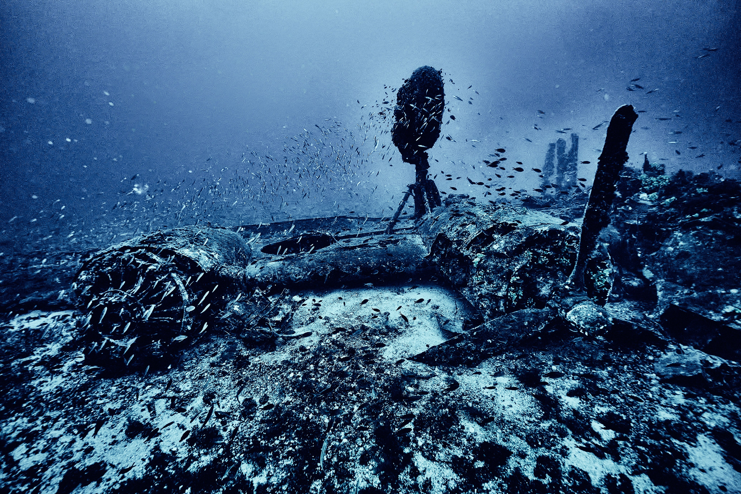 Wrak samolotu B-24 Liberator. Andriej Szypilow — Photography & Videography