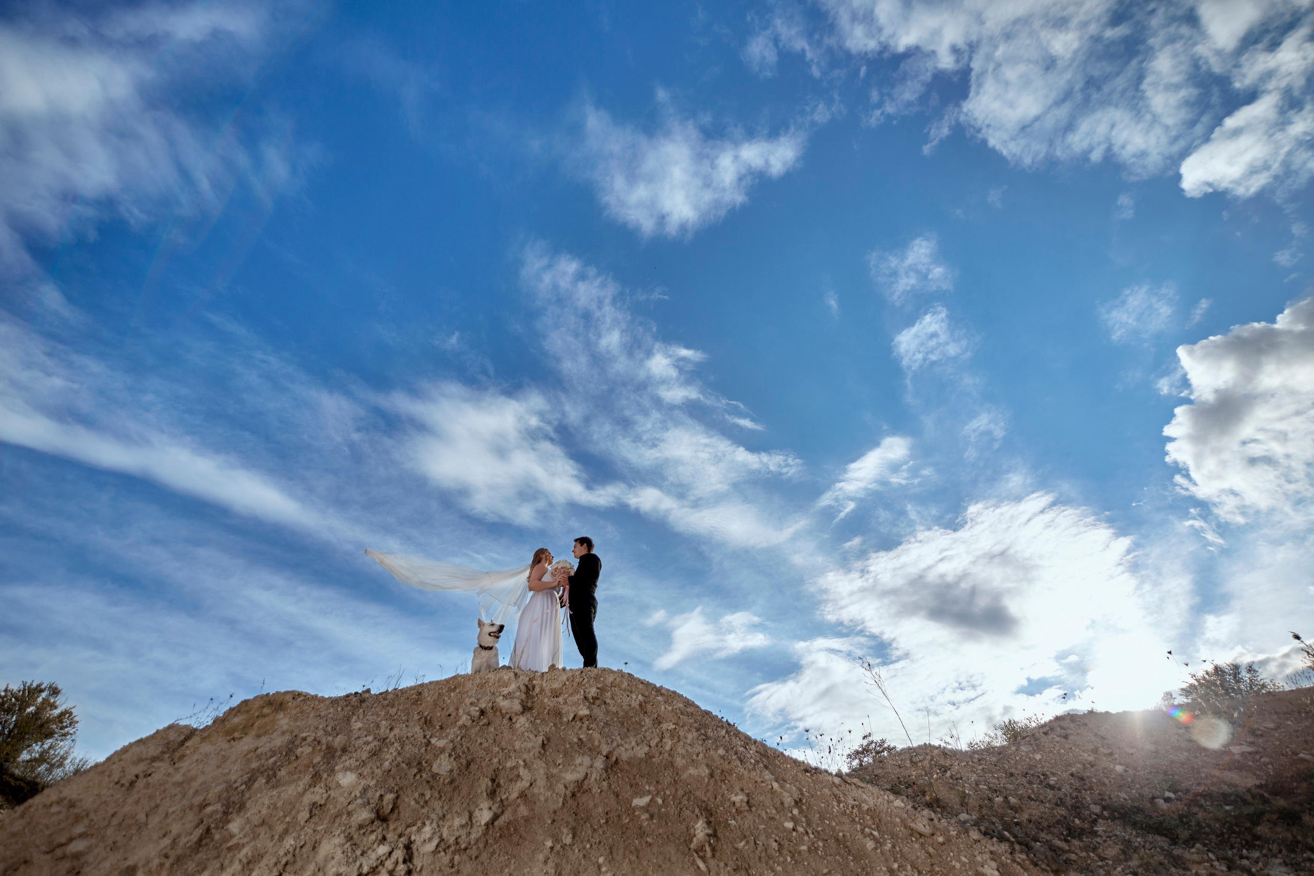 Контакты. Дмитрий и Каролина Тофан