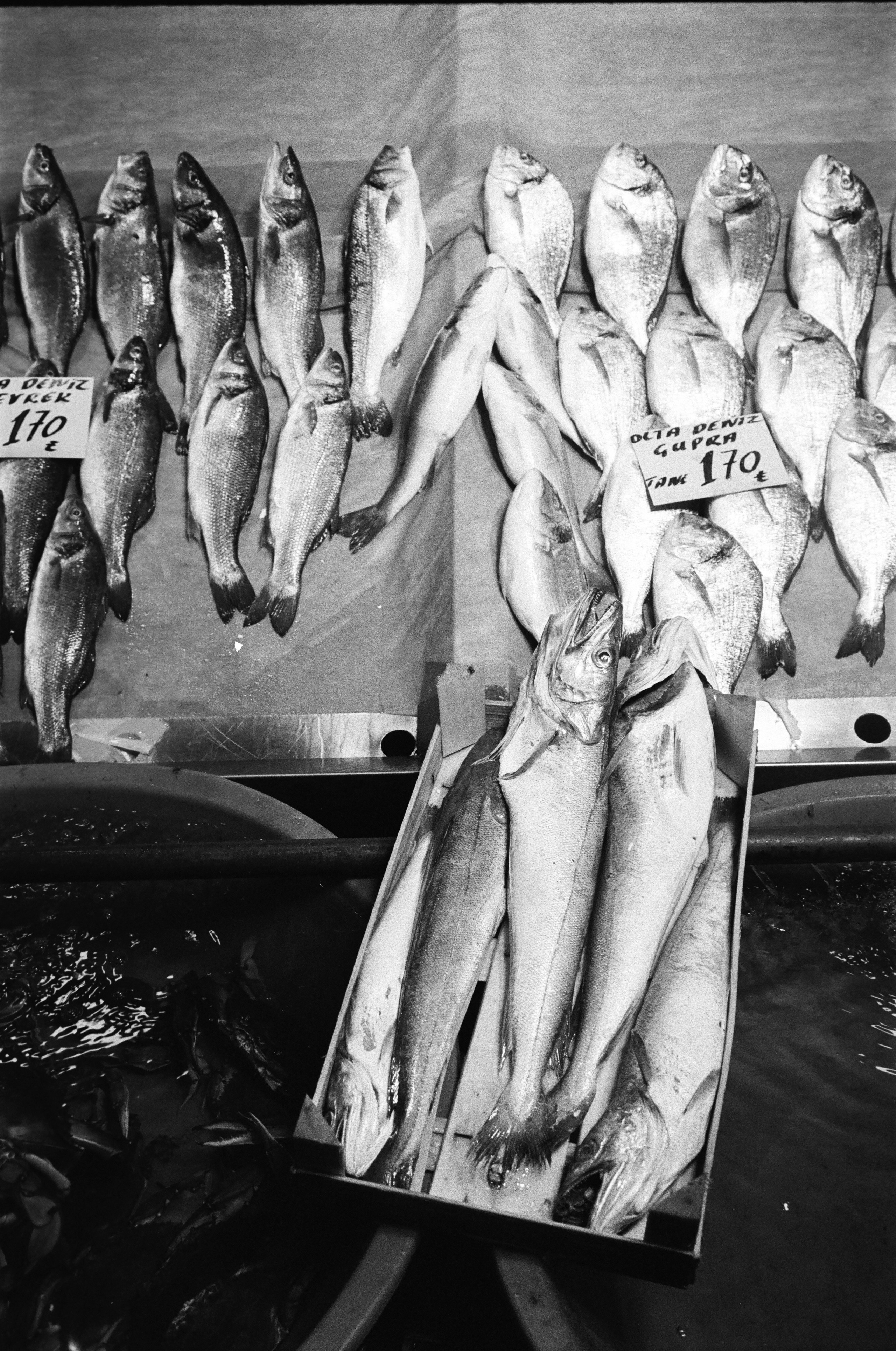 Istanbul - eine Stadt, die jenseits der Zeit lebt