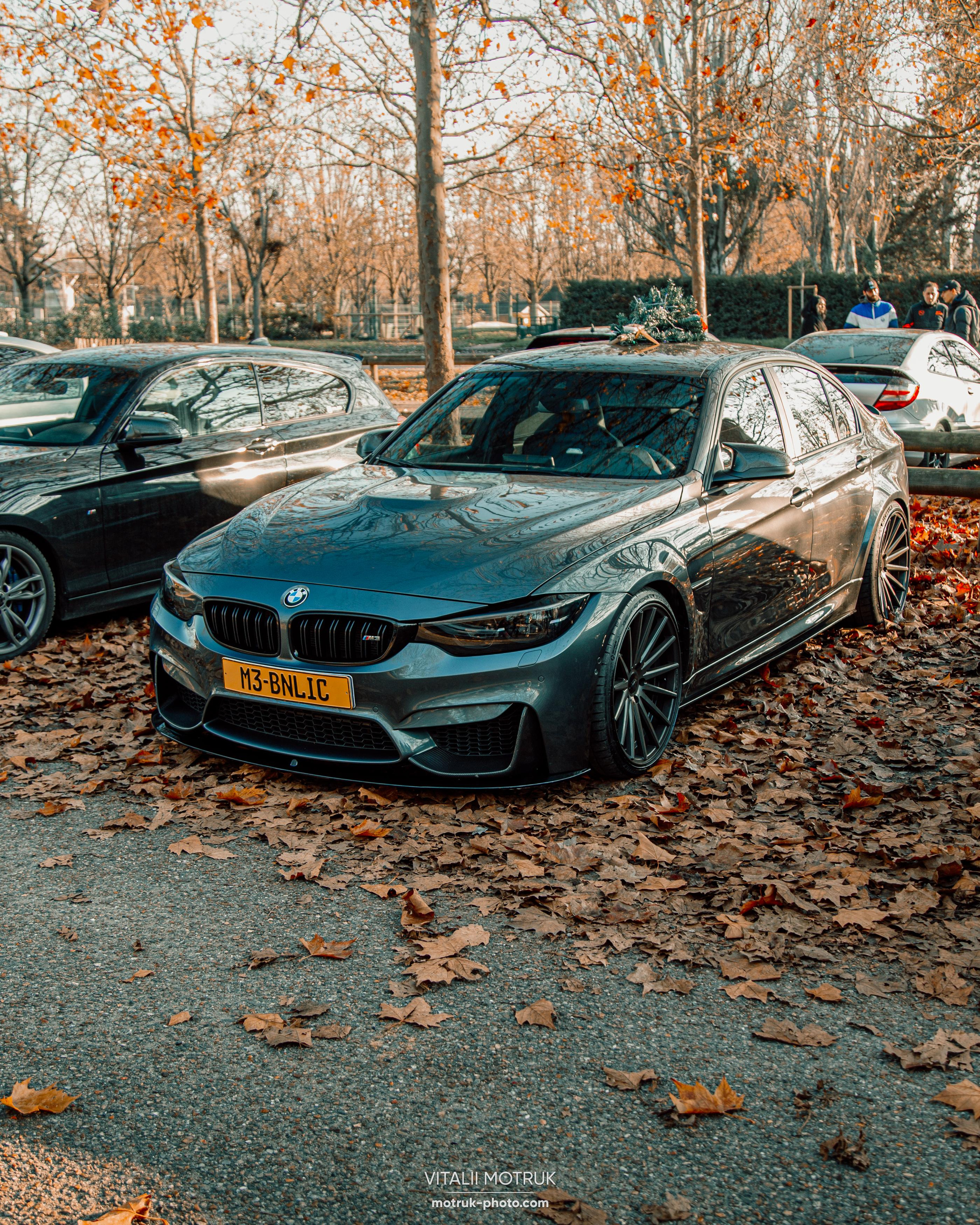 Rassemblement a Chatou. Photographe de voitures à Paris — Vitalii Motruk