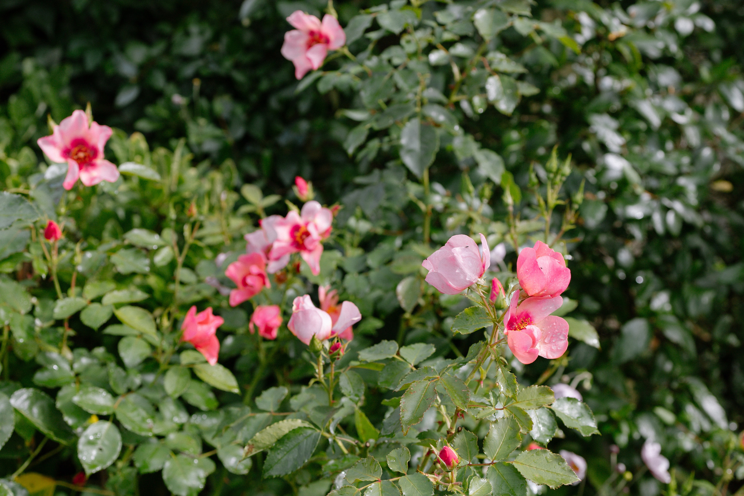 Intimate and emotional wedding. Timeless Wedding & Event Photography — based London, working across Europe
