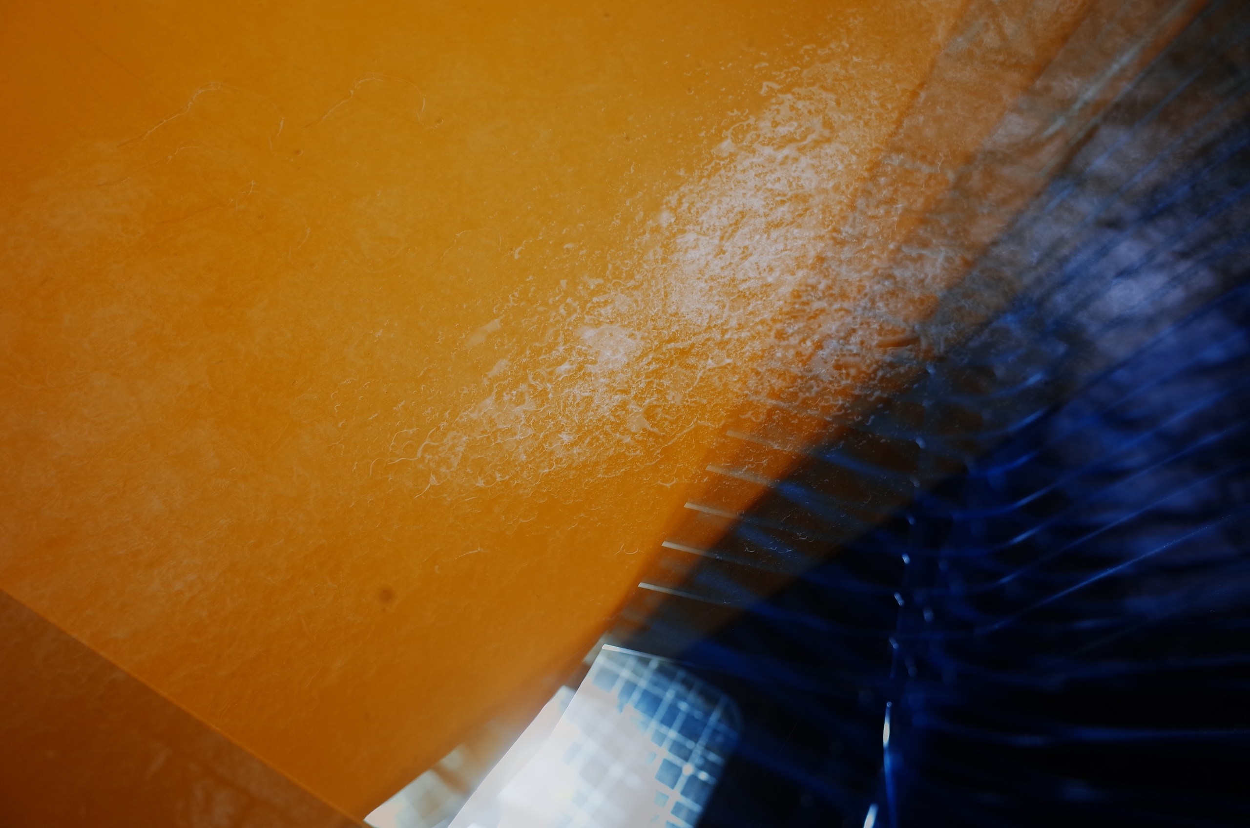 English (not yet summer) rain. Виктория Дини. Арт-фотография