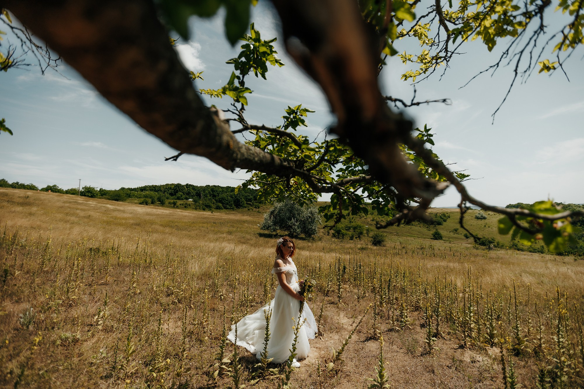 Andrei si Adelina. Fotograf și videograf de nuntă R. Moldova, Romania