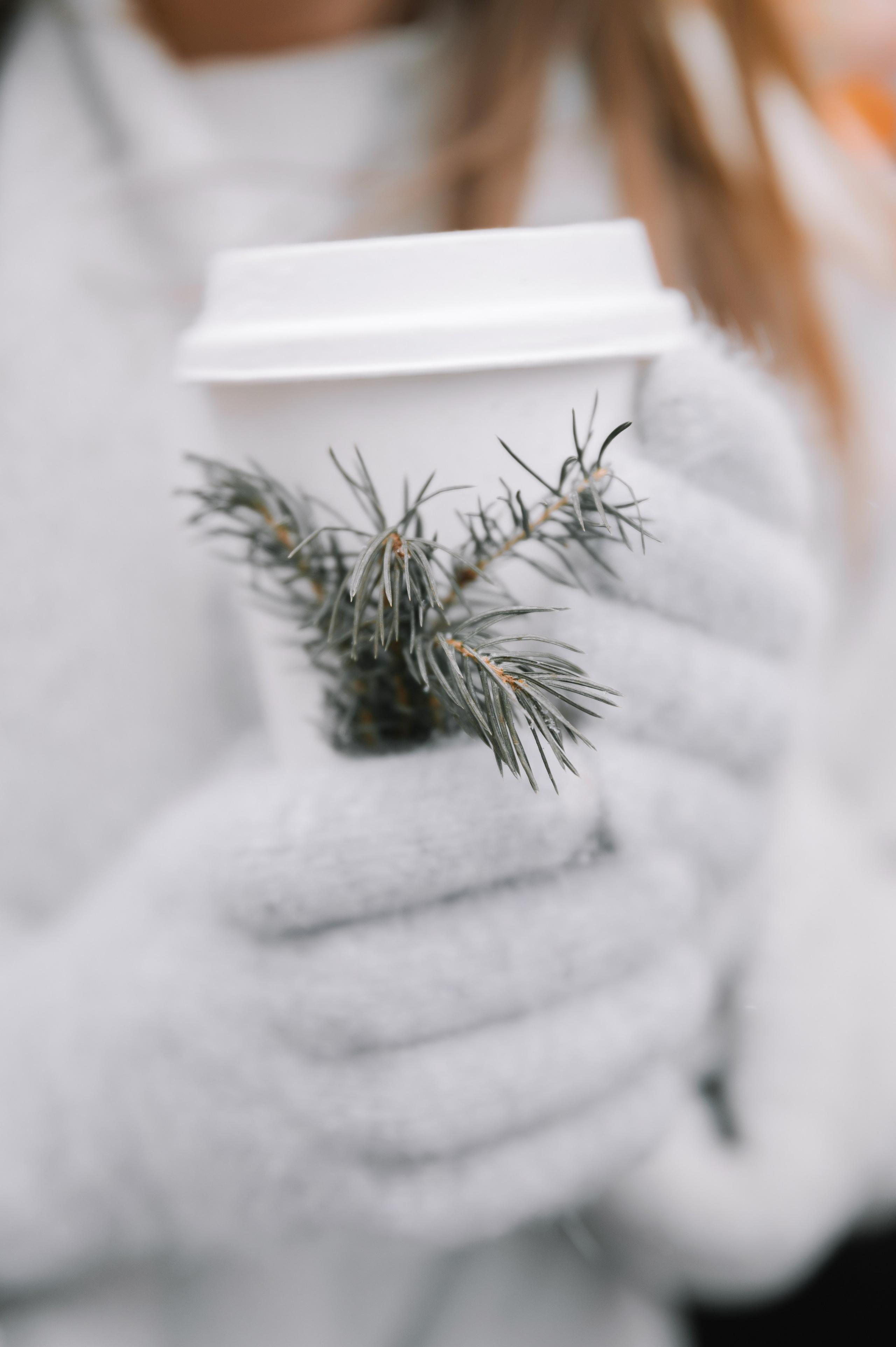 Christmas Photo Day 2024. Фотограф в Кракове/Европе Вероника Стома