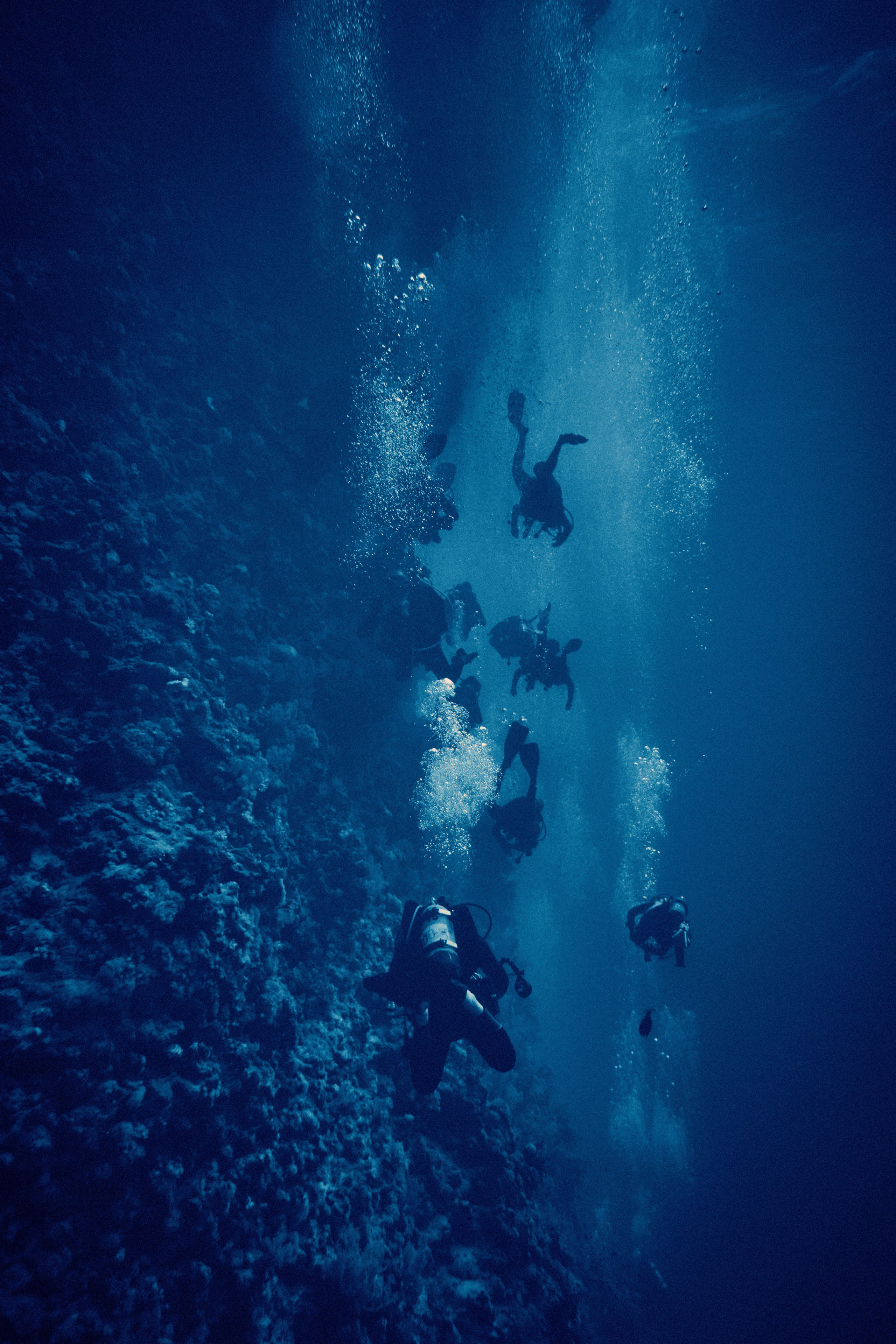 Podwodny fotograf - Andriej Szypilow - underwater photography. Tajemnica - wielka, głęboka i wszechobecna - to jest ta jakość, której przede wszystkim szukam w fotografii podwodnej...
