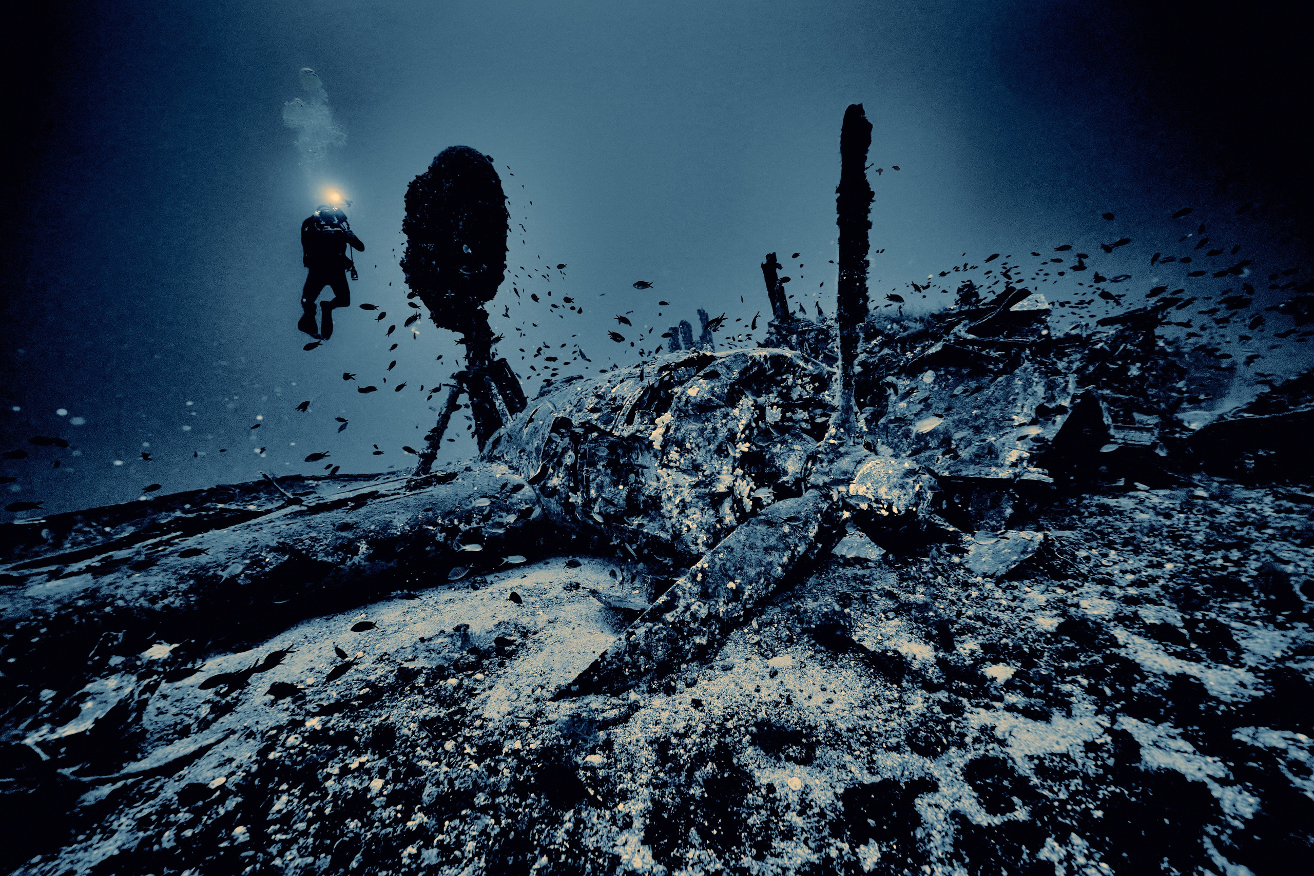 Wrak samolotu B-24 Liberator. Andriej Szypilow — Photography & Videography