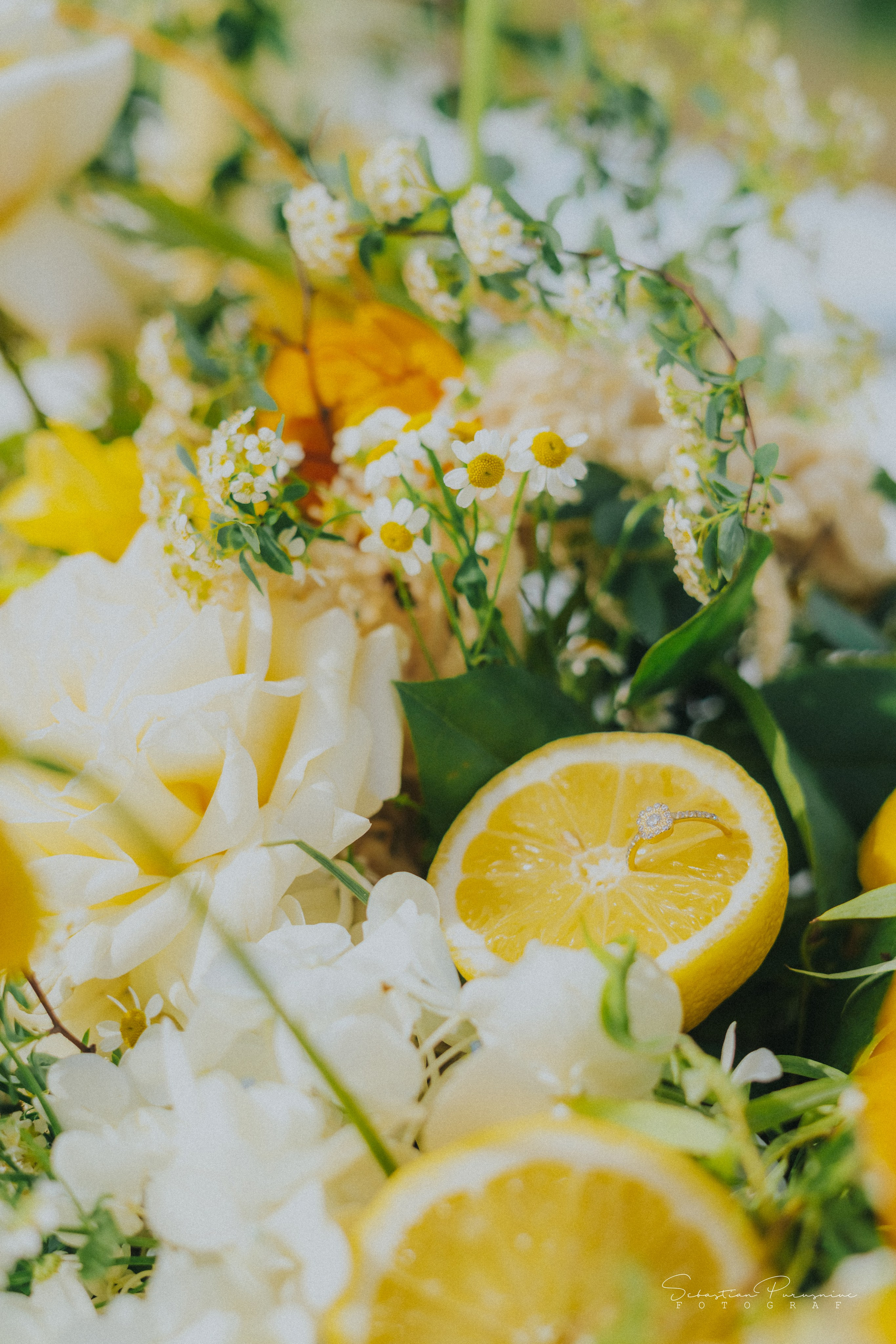 Love & Lemons. Sebastian Purusniuc Fotograf - Iasi