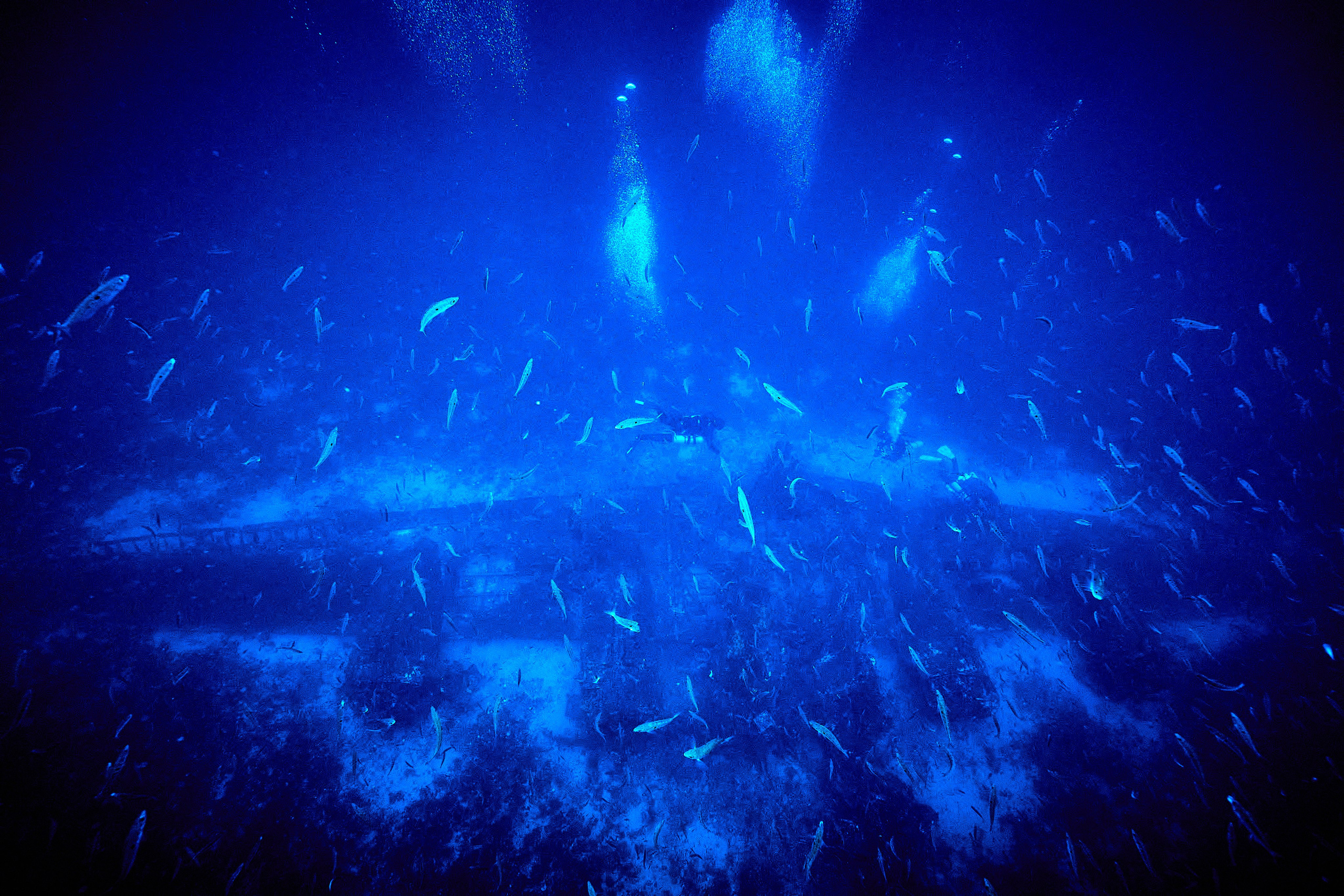 Wrak samolotu B-24 Liberator. Andriej Szypilow — Photography & Videography