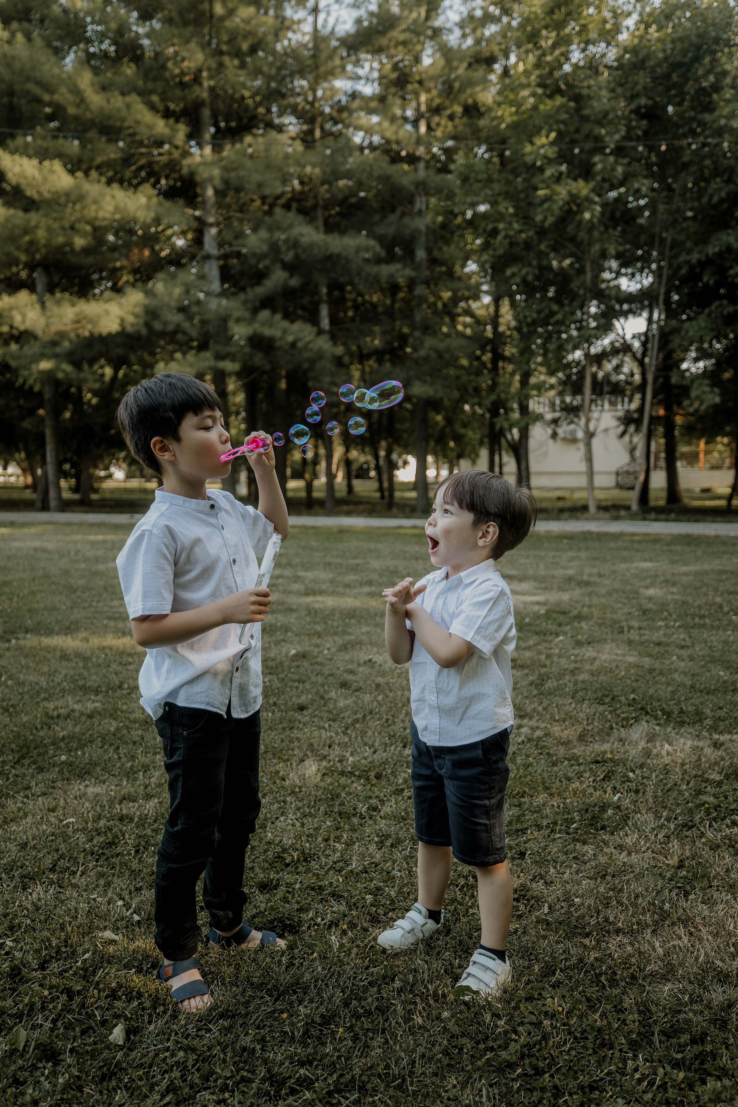 1 an de calatorie sub soare, minunata Hana!. Emotions Photo Art