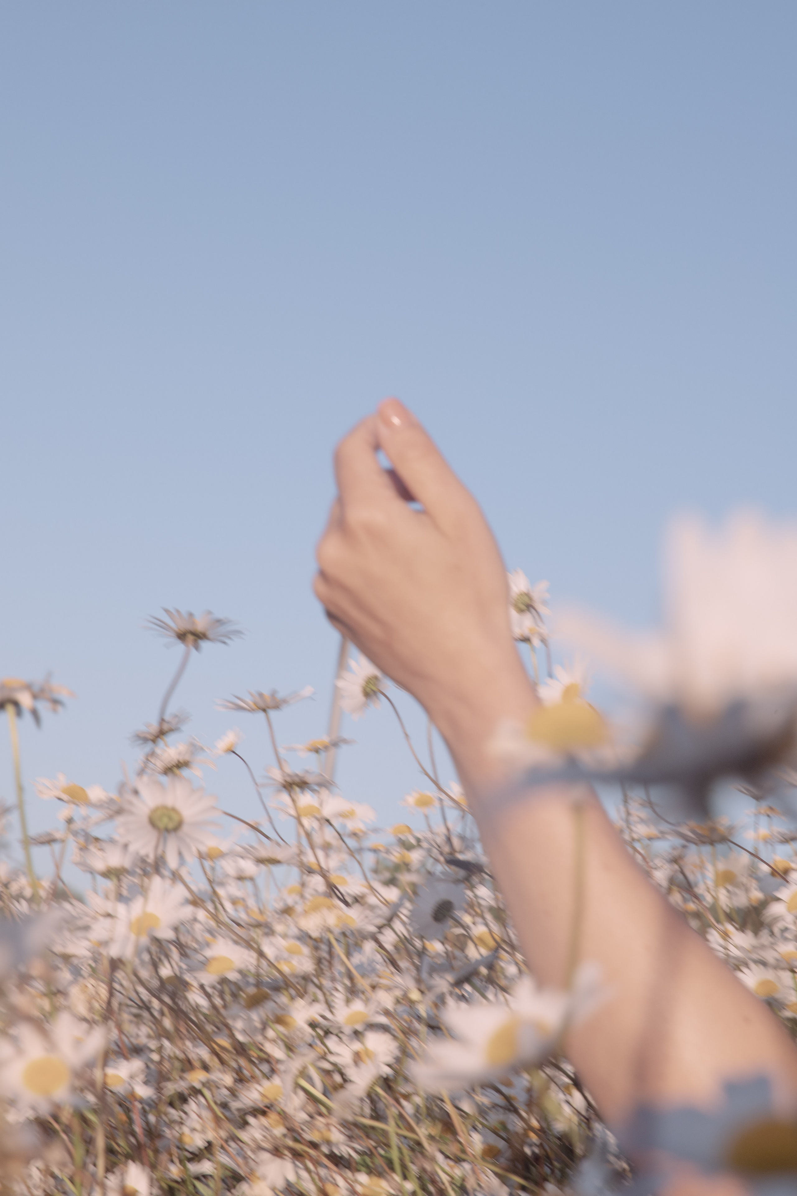 In Harmony with Nature. Natalja Poplavska — Visual artist, Photographer, East Sussex, London