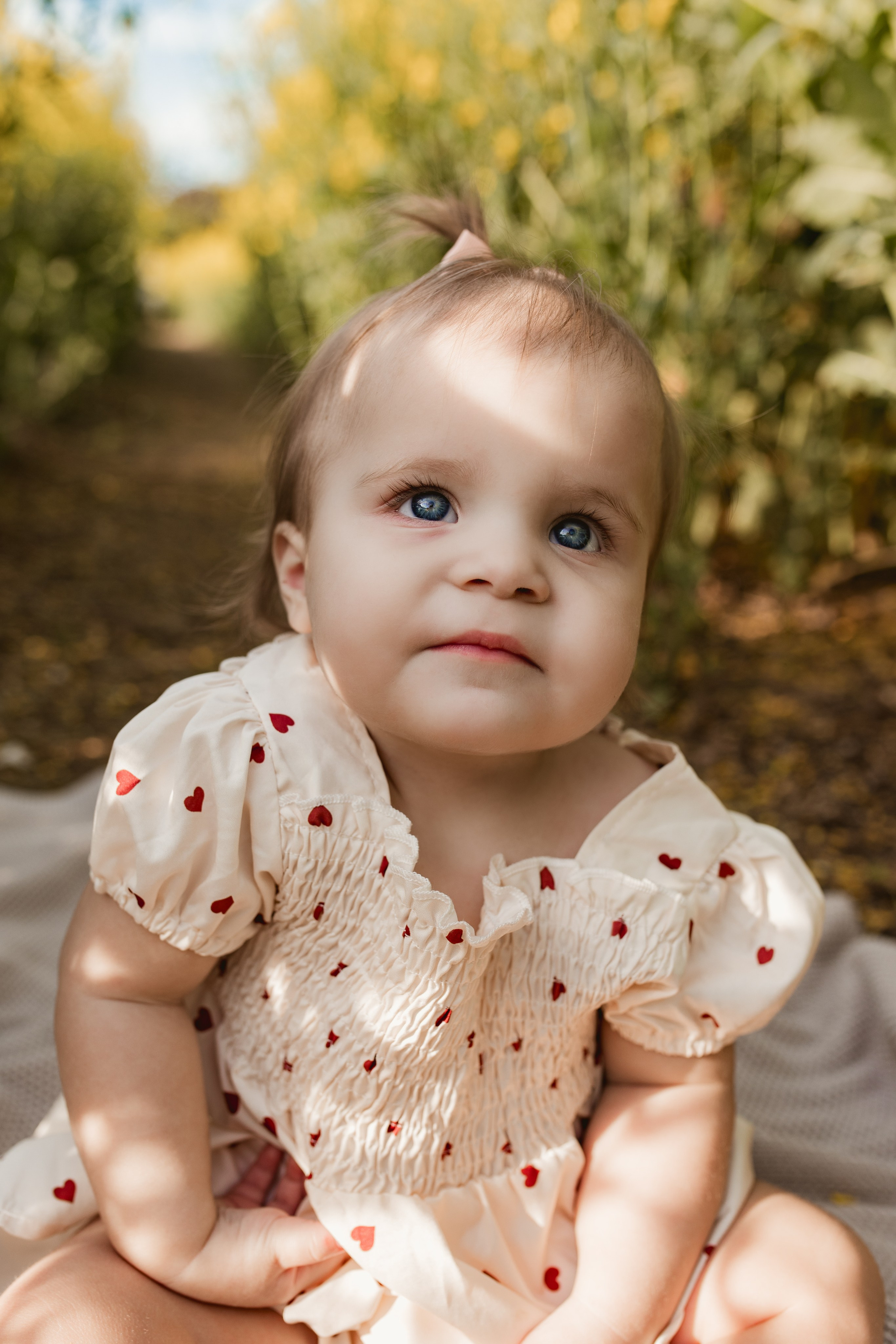 Family/Couple. Anna Levina Photography