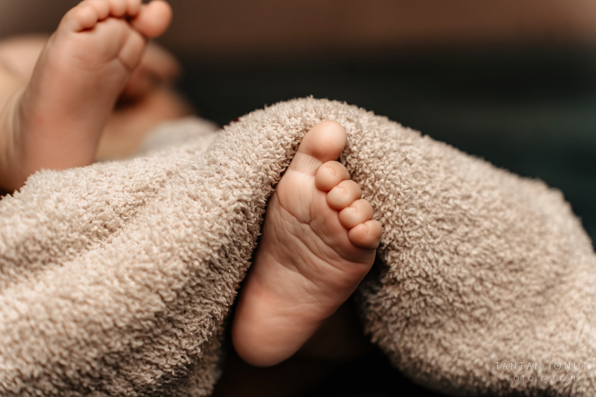 NOAH-GABRIEL. TANTAN IONUT FOTO & FILM