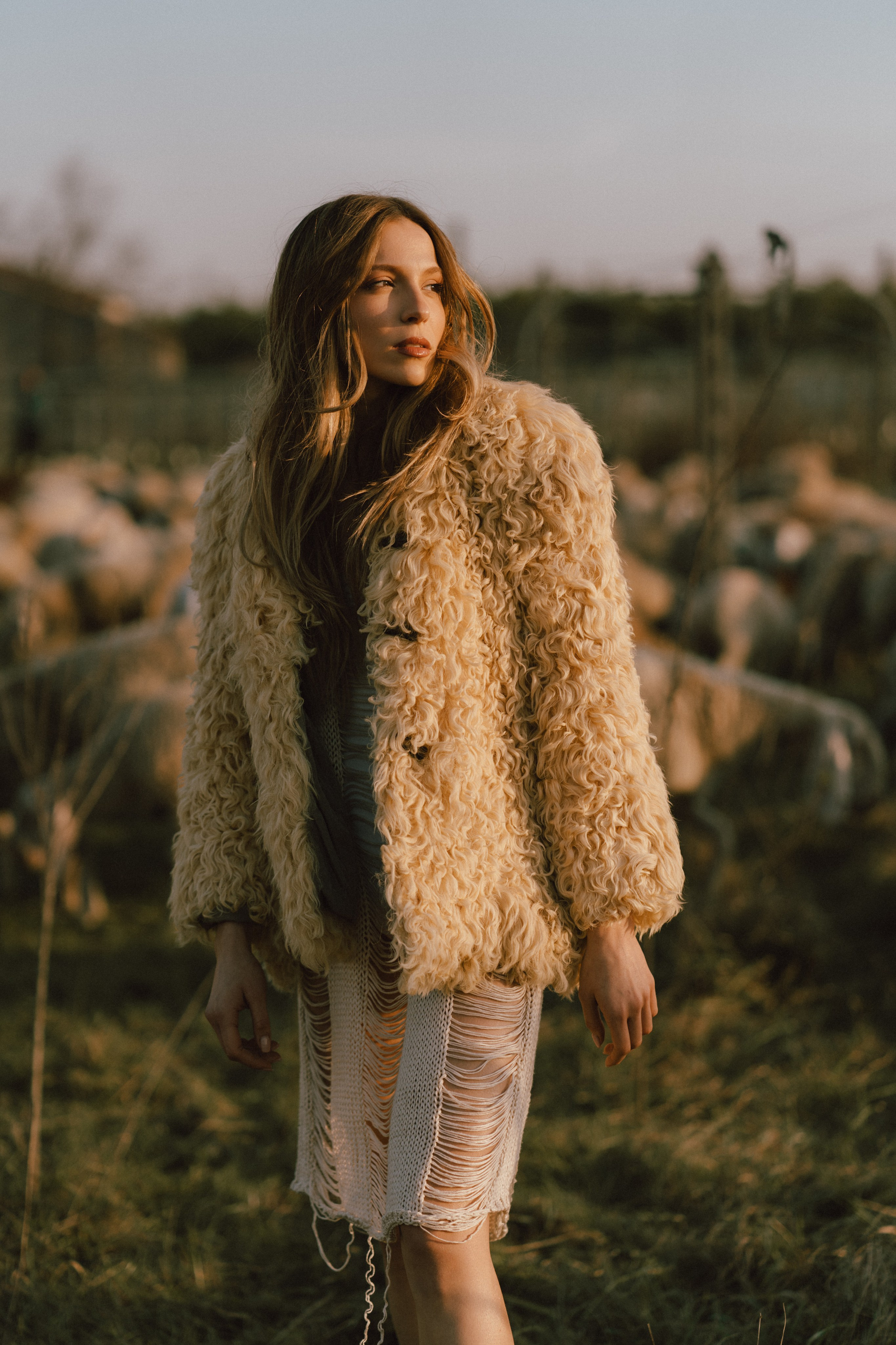 A thousand sheeps. Diana Fedrigo | Fotografa matrimoni in Italia