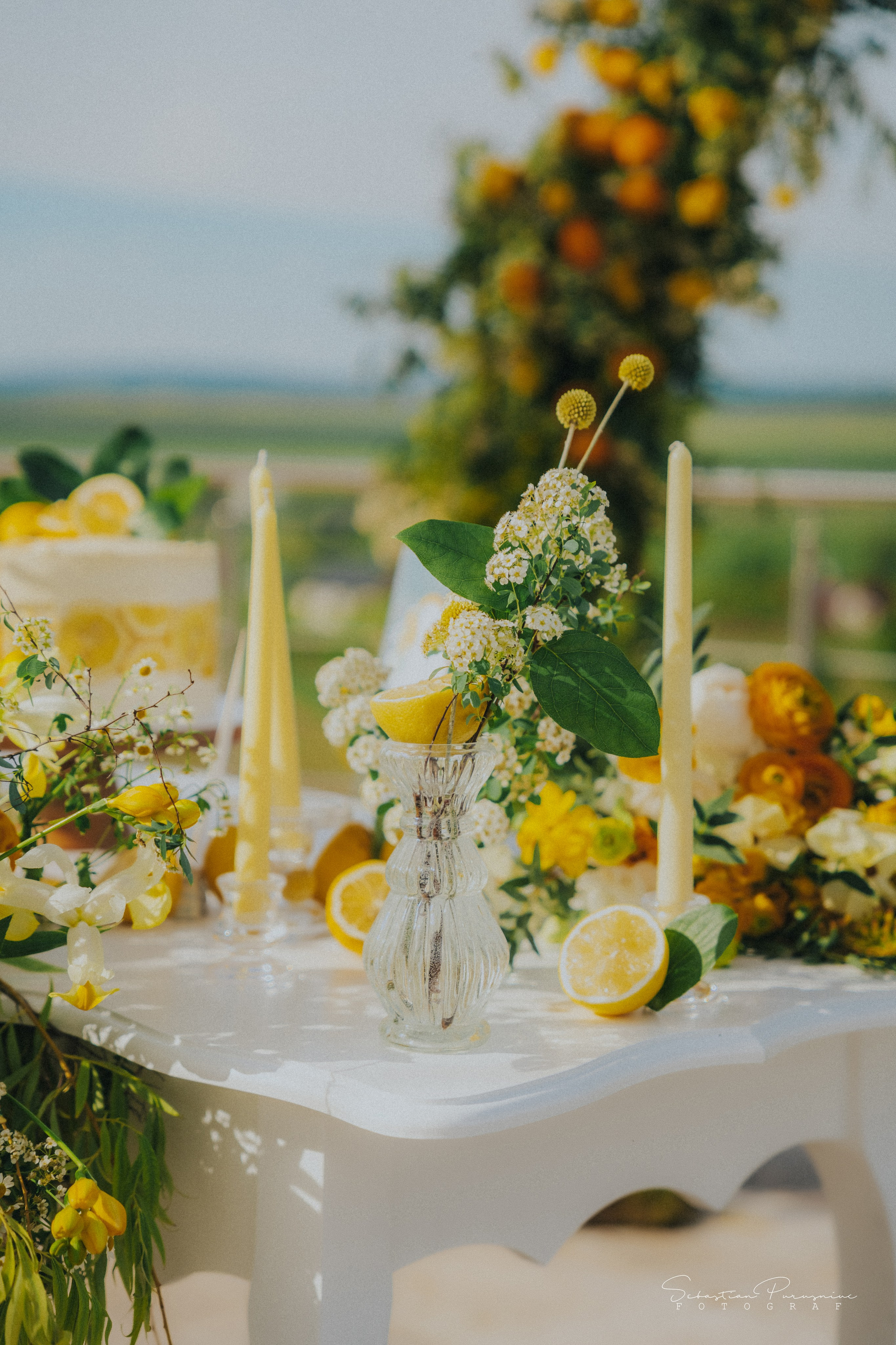 Love & Lemons. Sebastian Purusniuc Fotograf - Iasi