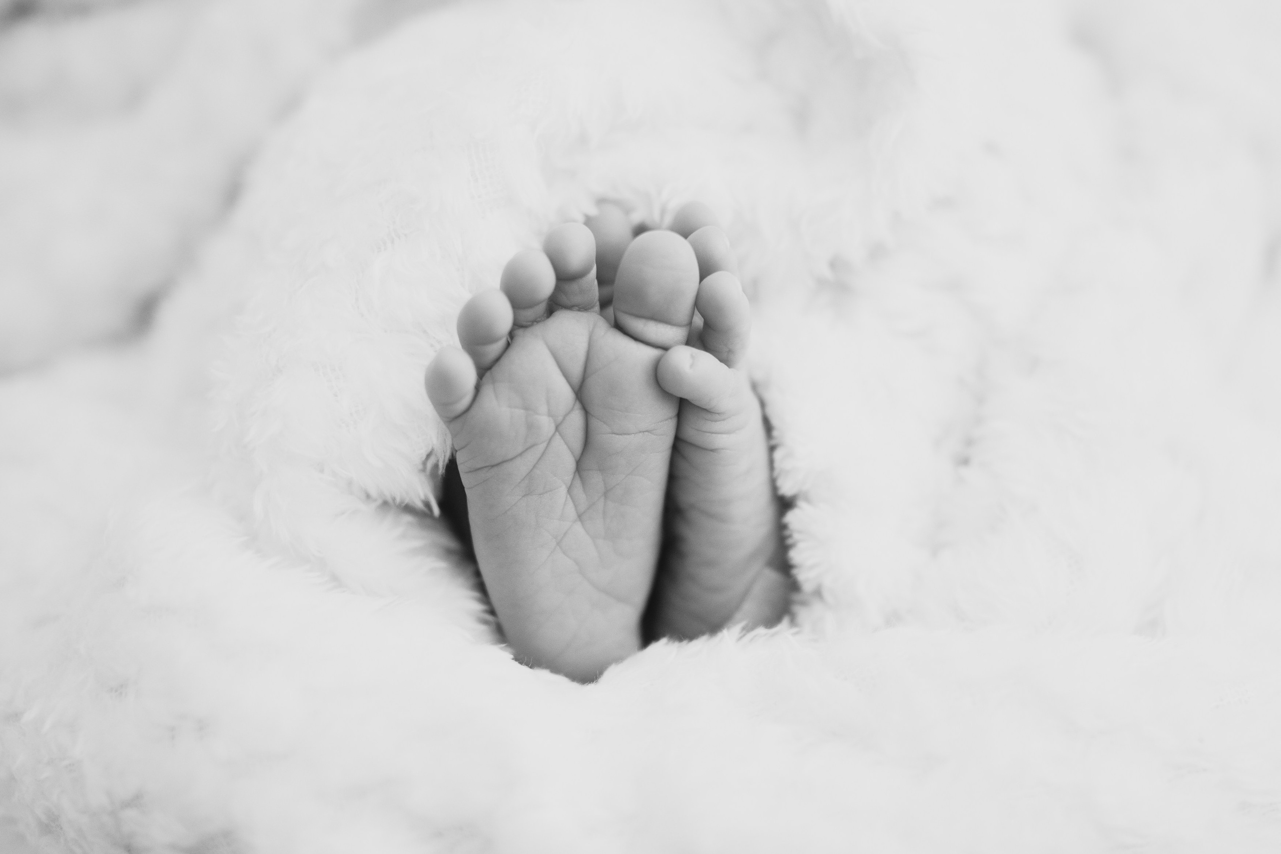 Fresh 48. Fotografka Andrea Hlaváčová / Karlovarský kraj / Karlovy Vary Sokolov