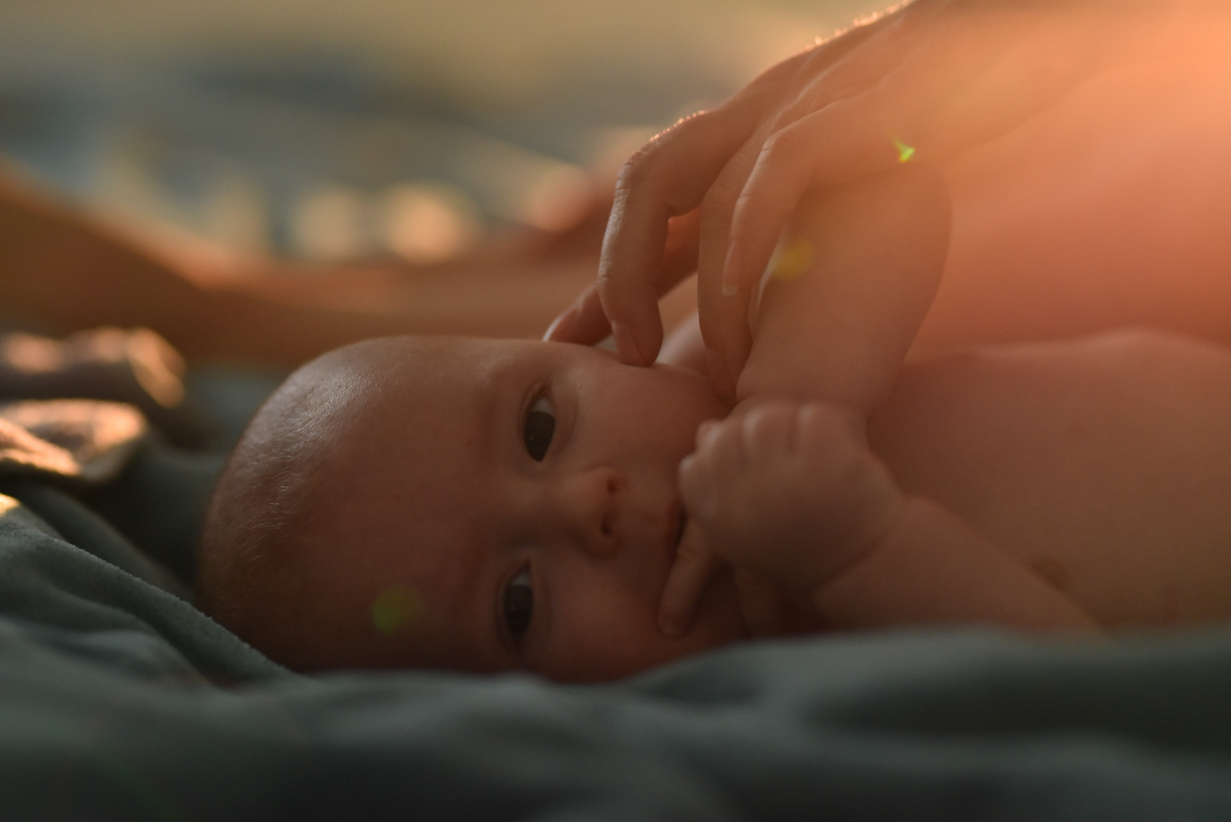 Familien Fotoshooting. Свадебный и семейный фотограф в Гамбурге Екатерина Поминова