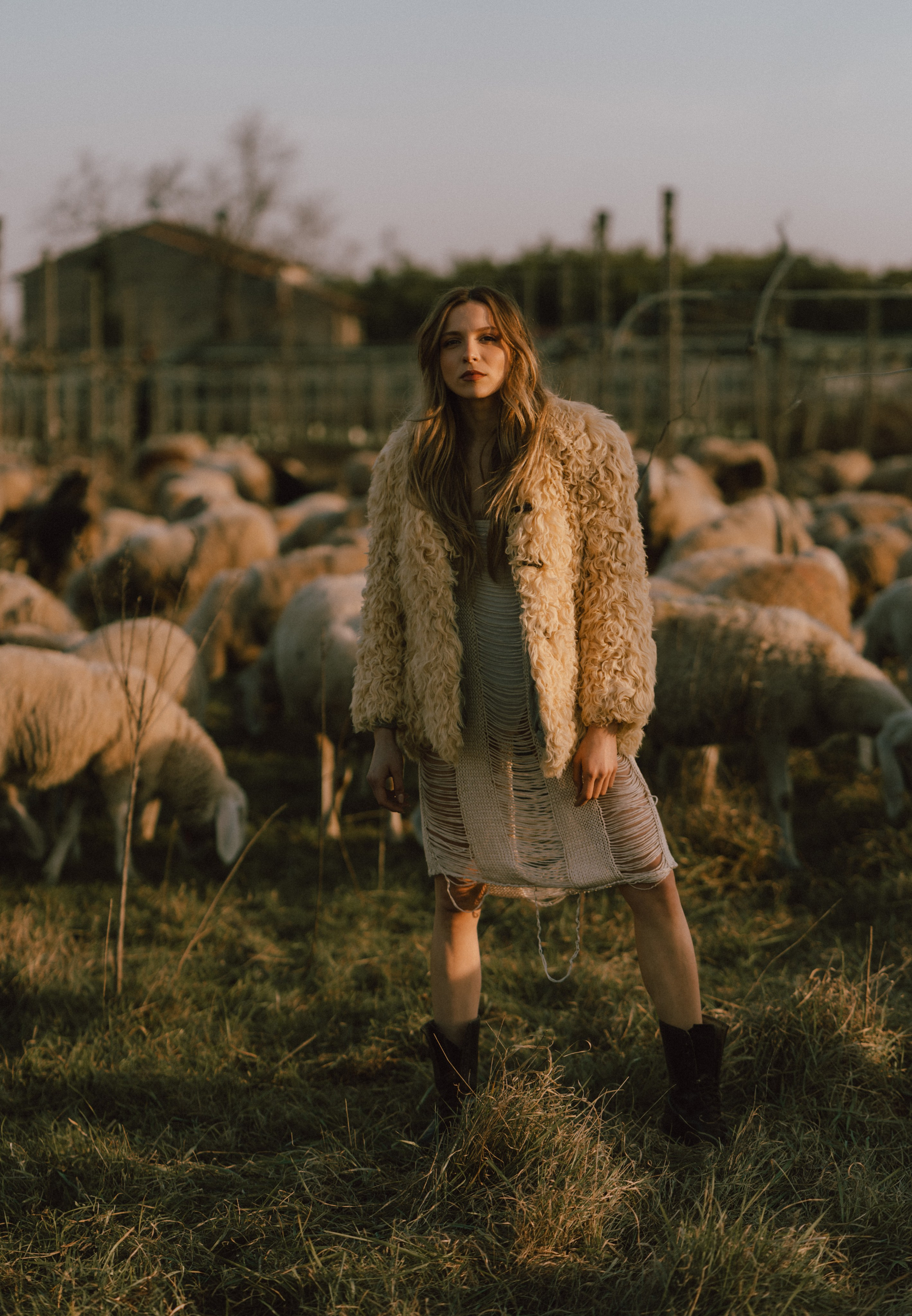 A thousand sheeps. Diana Fedrigo | Fotografa matrimoni in Italia