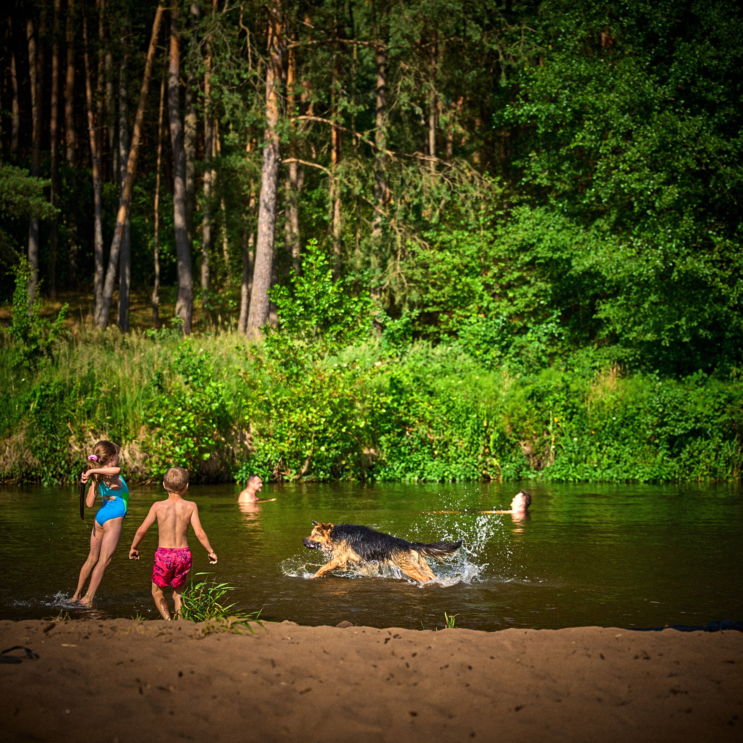 Organic-2025. Andriej Szypilow — Photography & Videography