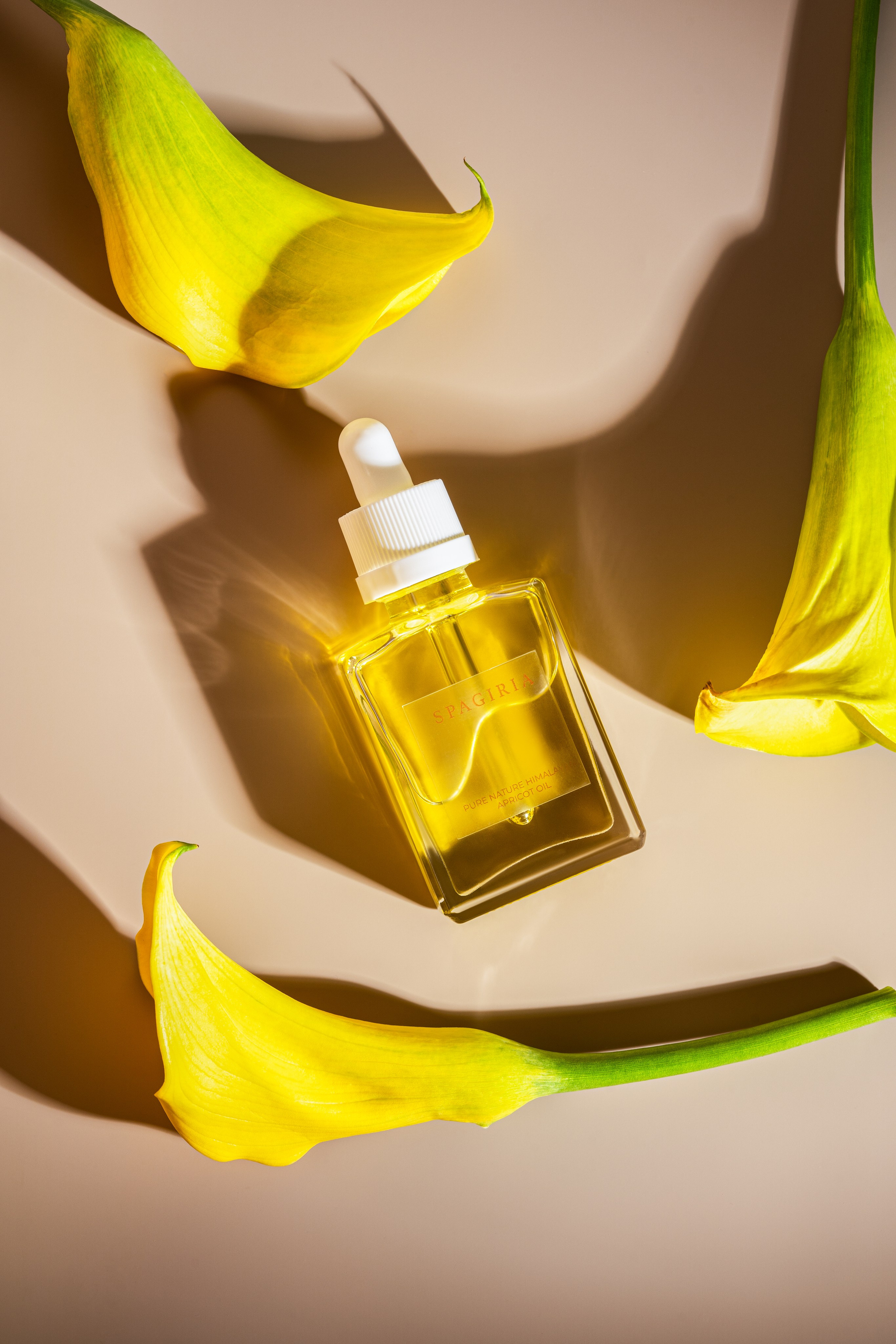 Skincare photography studio