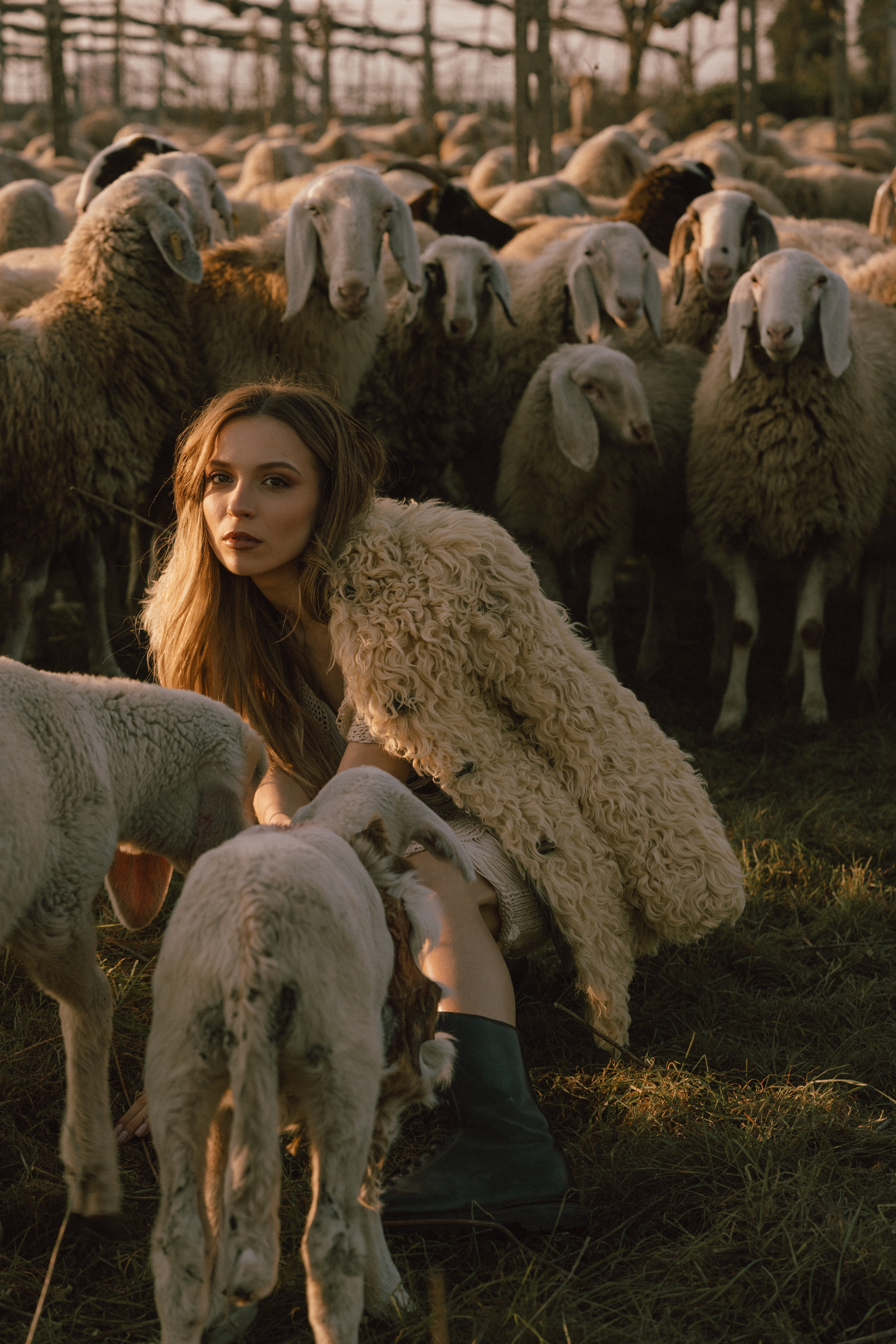 A thousand sheeps. Diana Fedrigo | Fotografa matrimoni in Italia