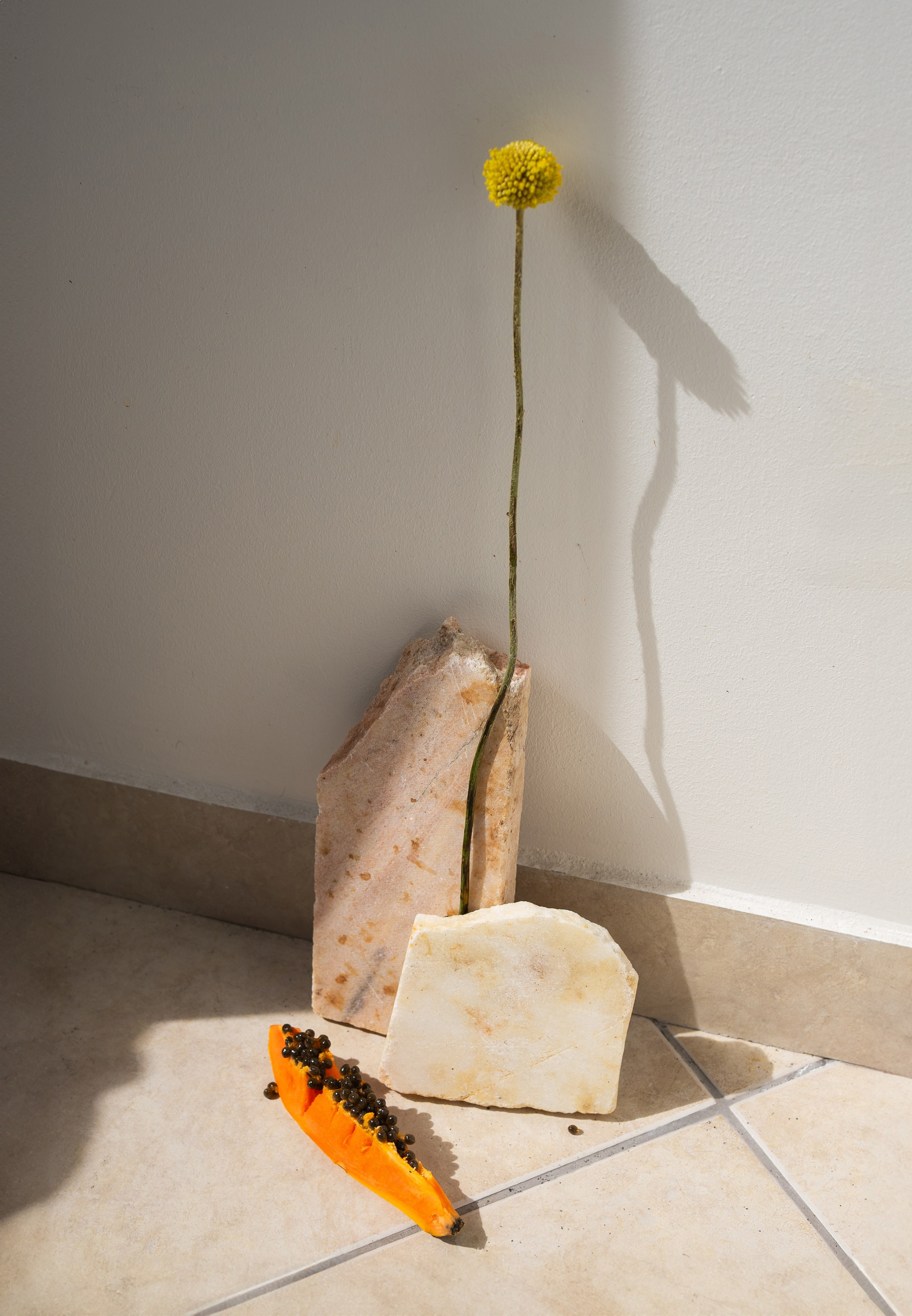 Maria Sher. Professional photographer from Porto, Portugal