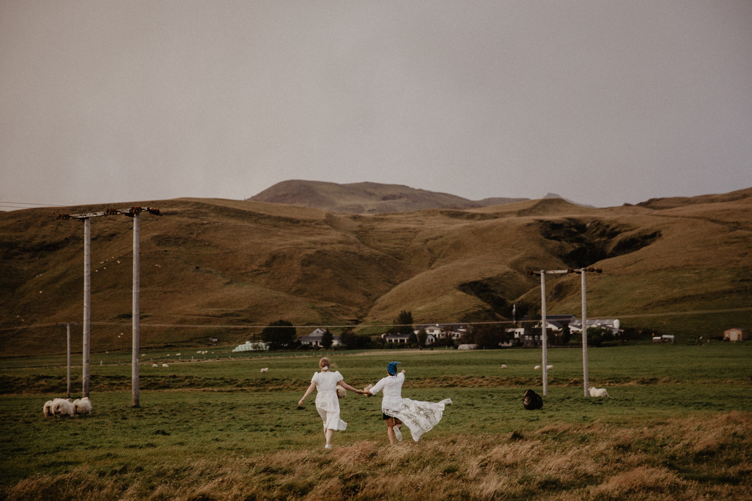 LGBT elopement in Iceland. Iceland elopement photo and video | Nikolaichik Photo