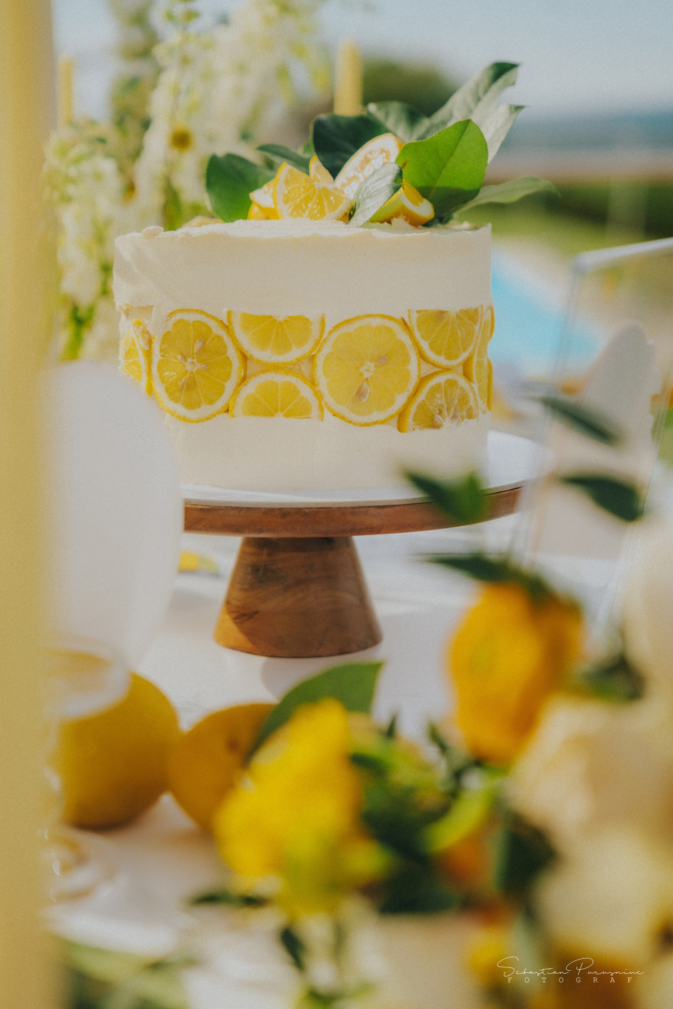 Love & Lemons. Sebastian Purusniuc Fotograf - Iasi