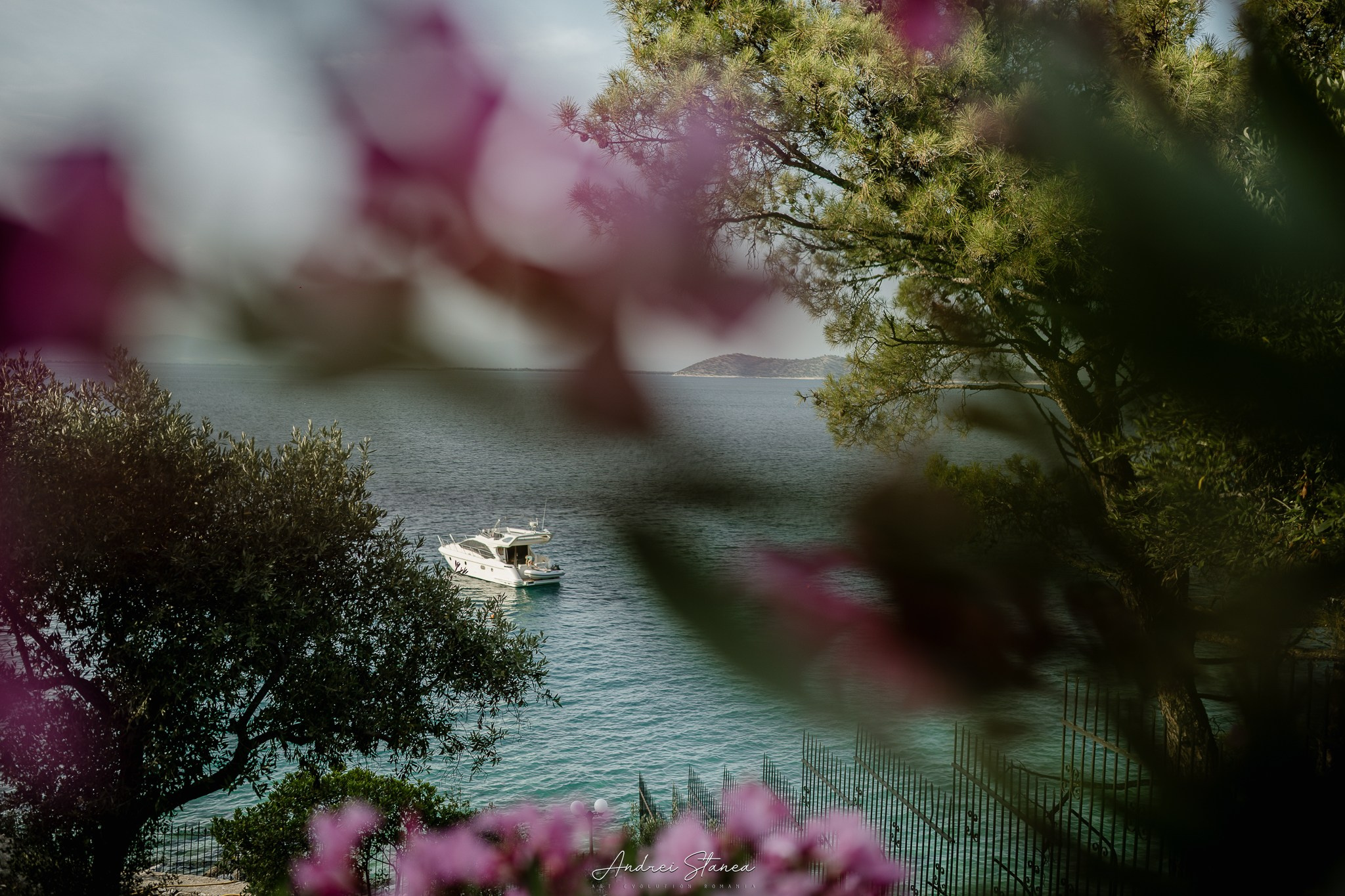 Sorina & Razvan. Andrei Stanea