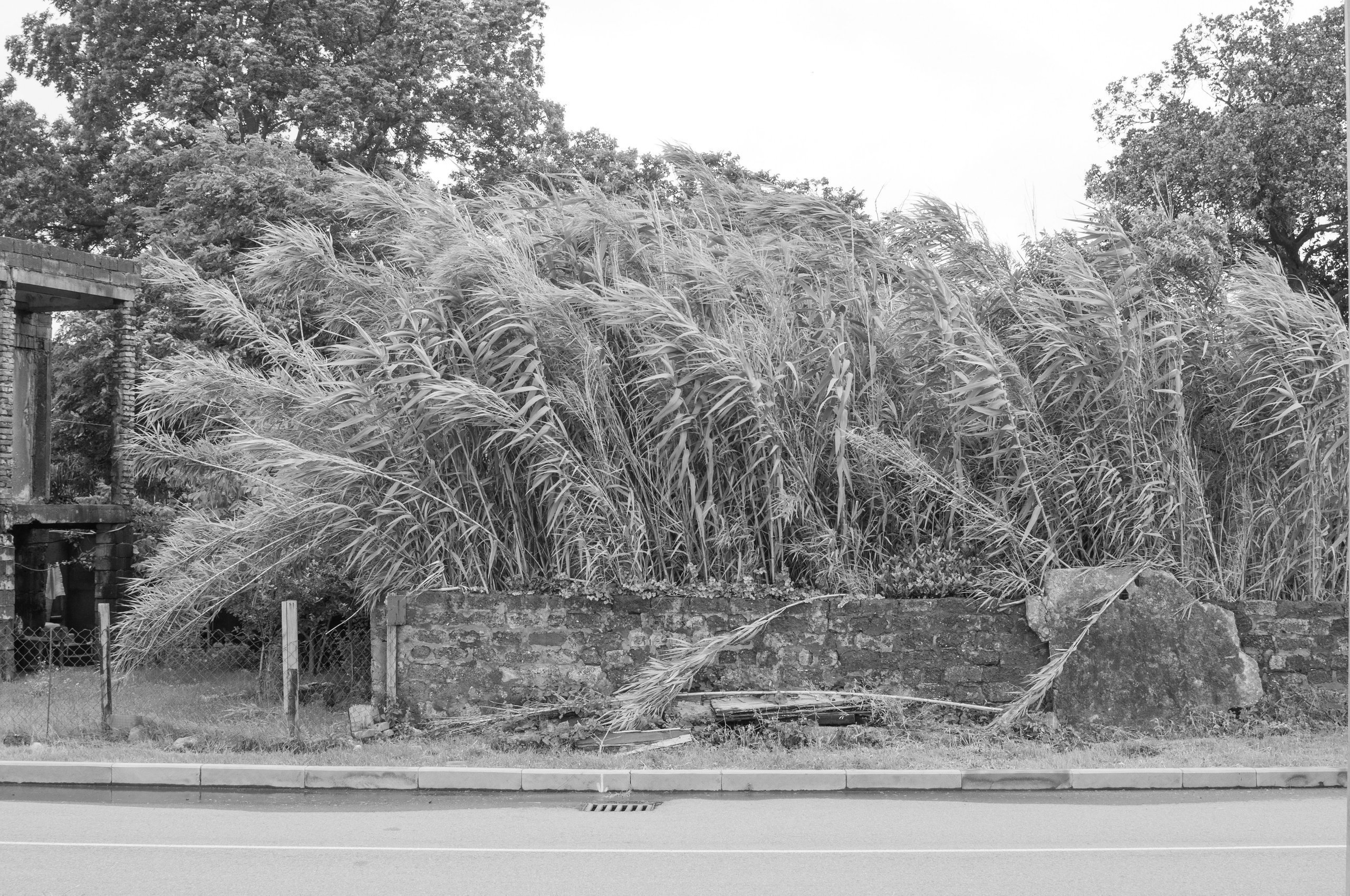 Under the Phasis' Sun. Mayya Kelova artist