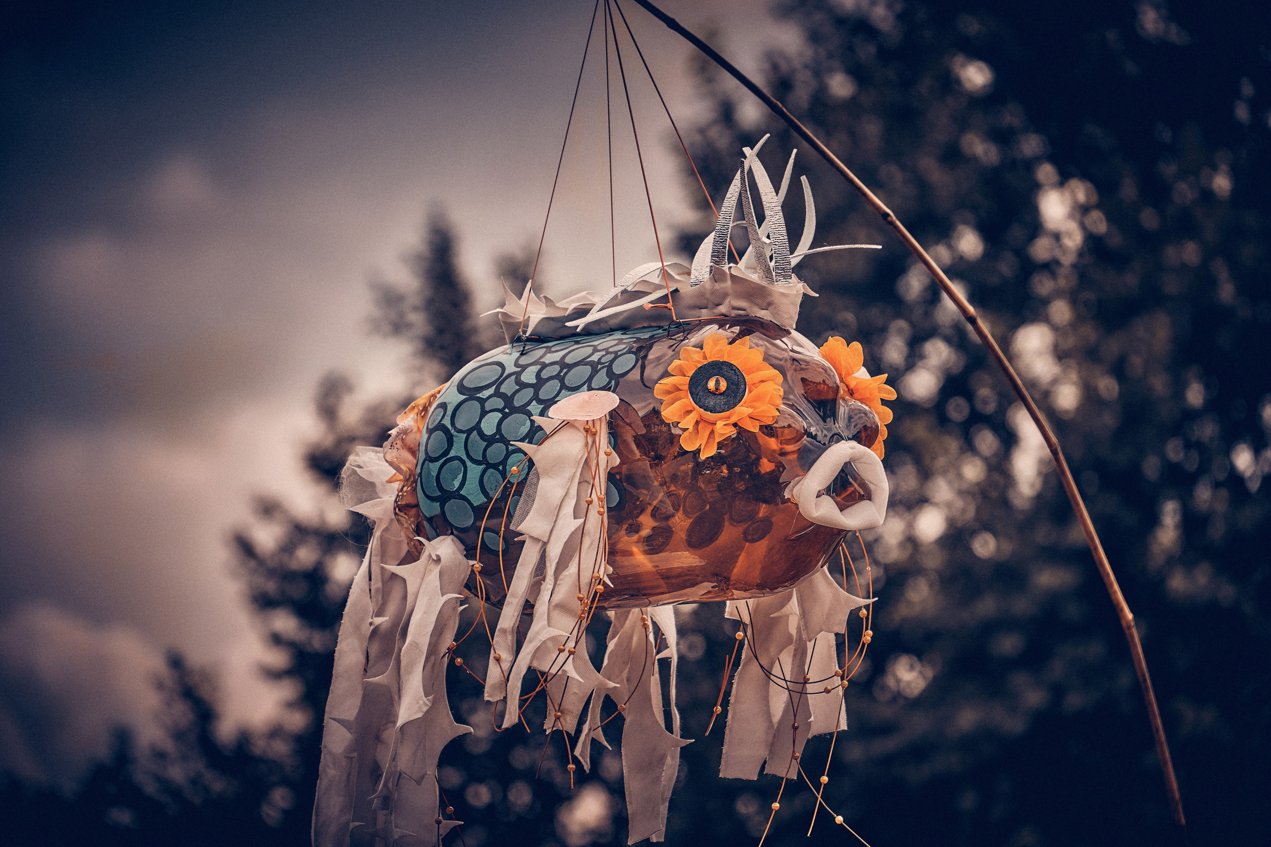 Organic Festival 2024. Andriej Szypilow — Photography & Videography