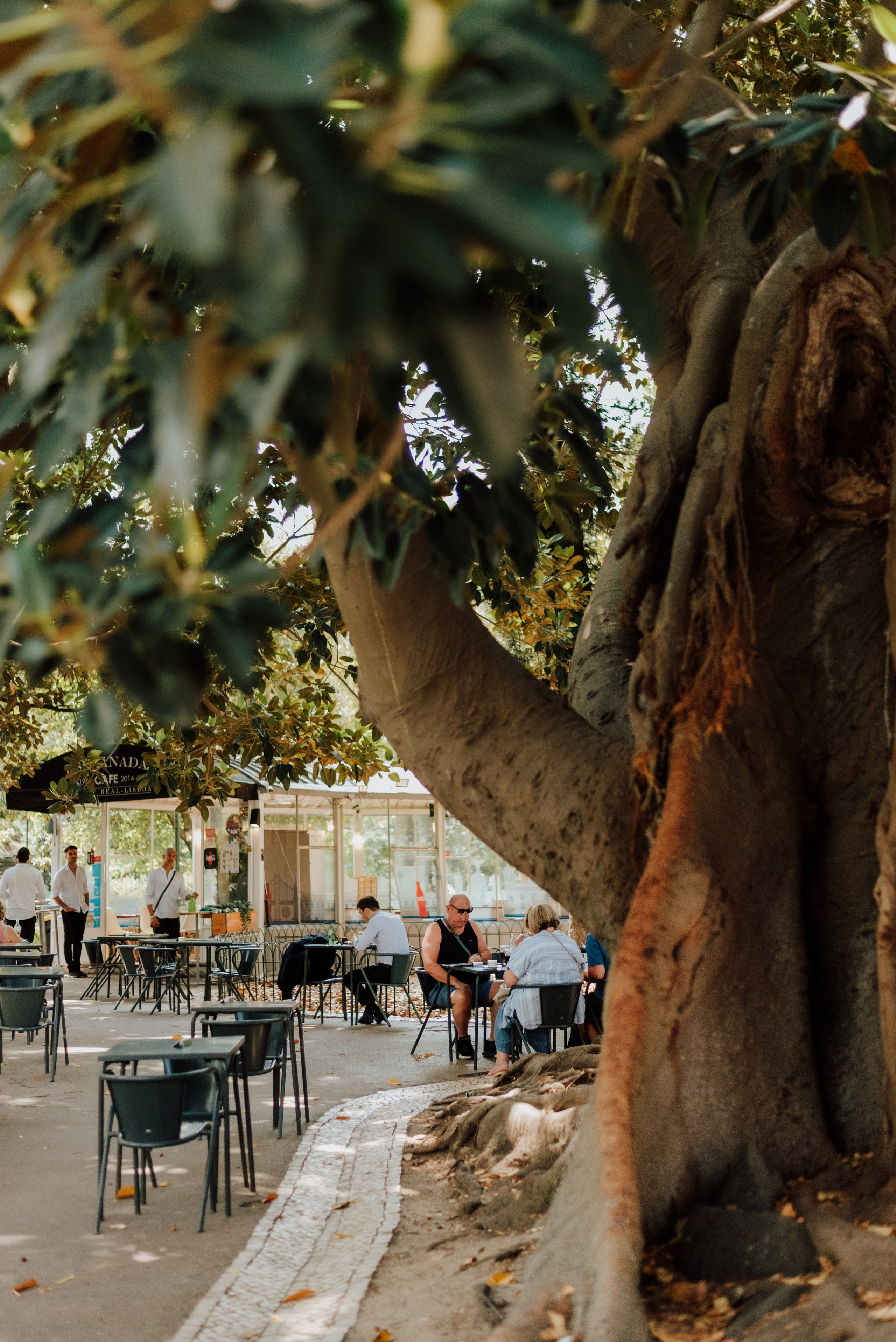 Jógový pobyt v Portugalsku 2024. Mateřství. Nevýchova. Život v souladu s přírodou. Jóga
