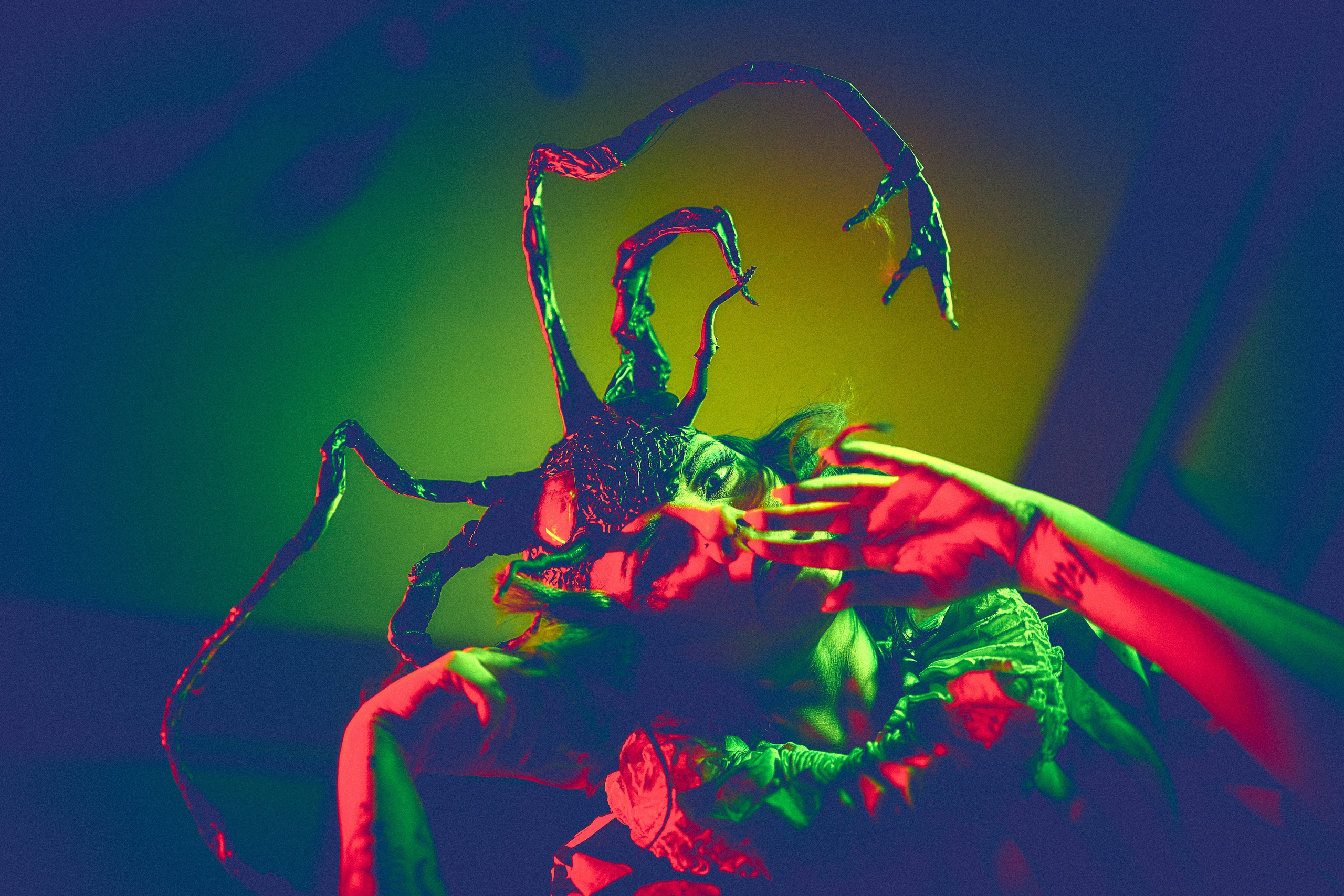 Lady Beetlejuice. Andriej Szypilow — Photography & Videography