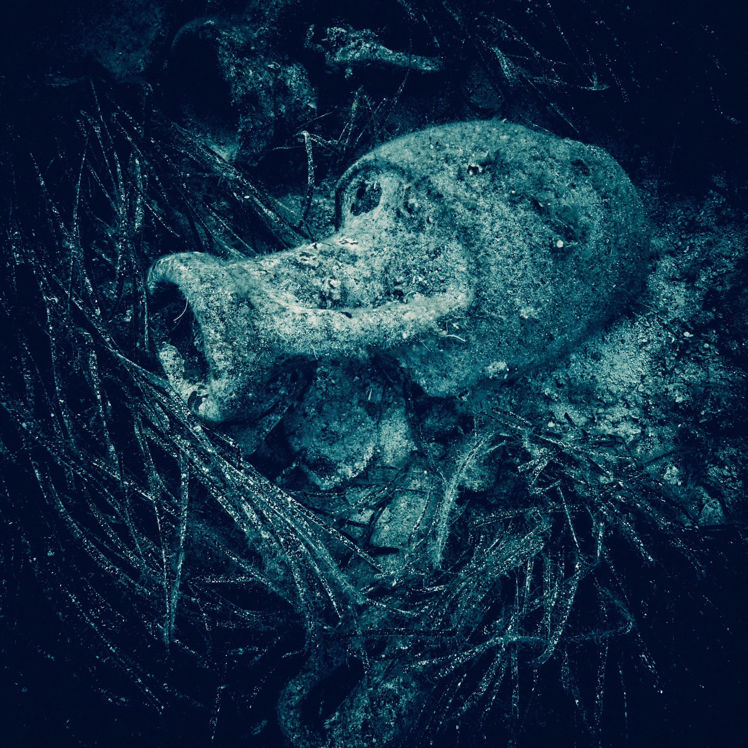 Podwodny fotograf - Andriej Szypilow - underwater photography. Tajemnica - wielka, głęboka i wszechobecna - to jest ta jakość, której przede wszystkim szukam w fotografii podwodnej...