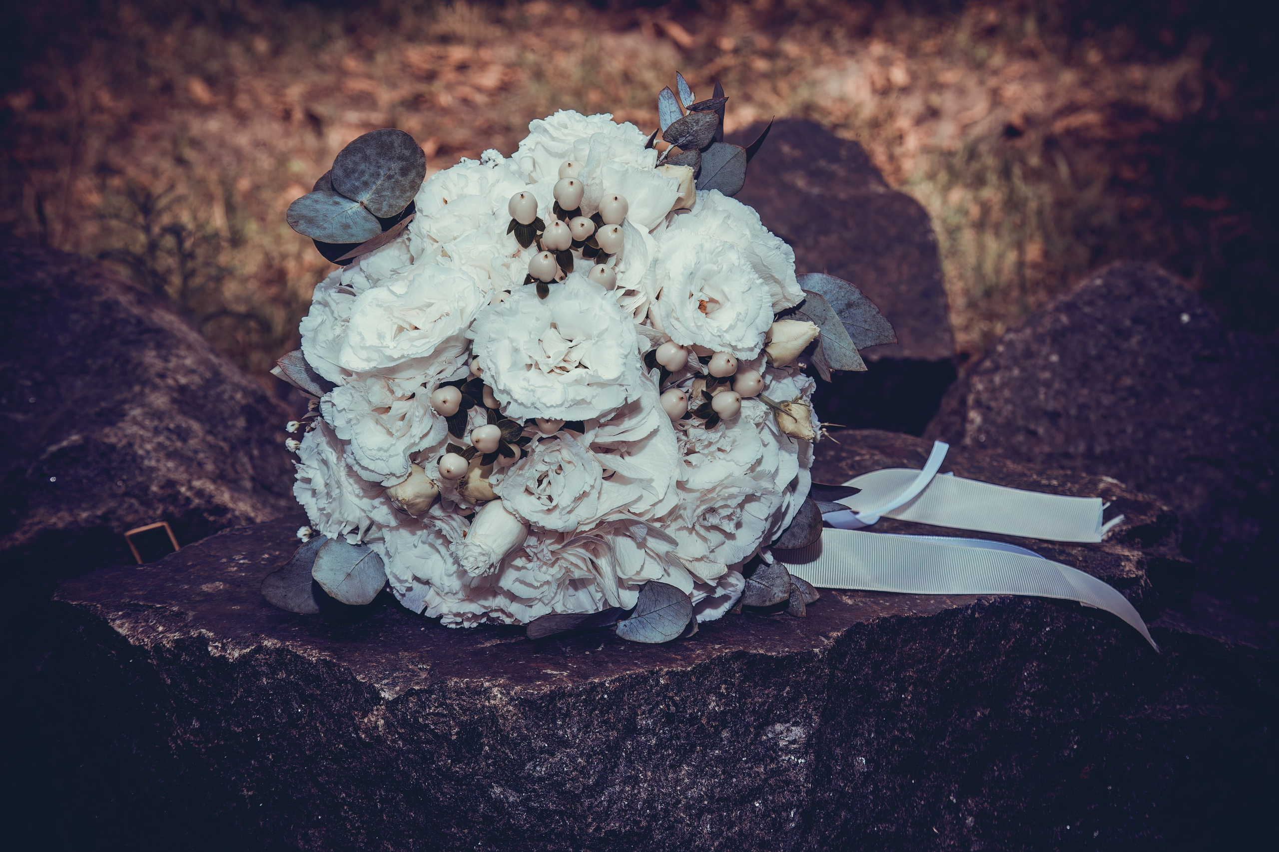 Studio „Fantezia”