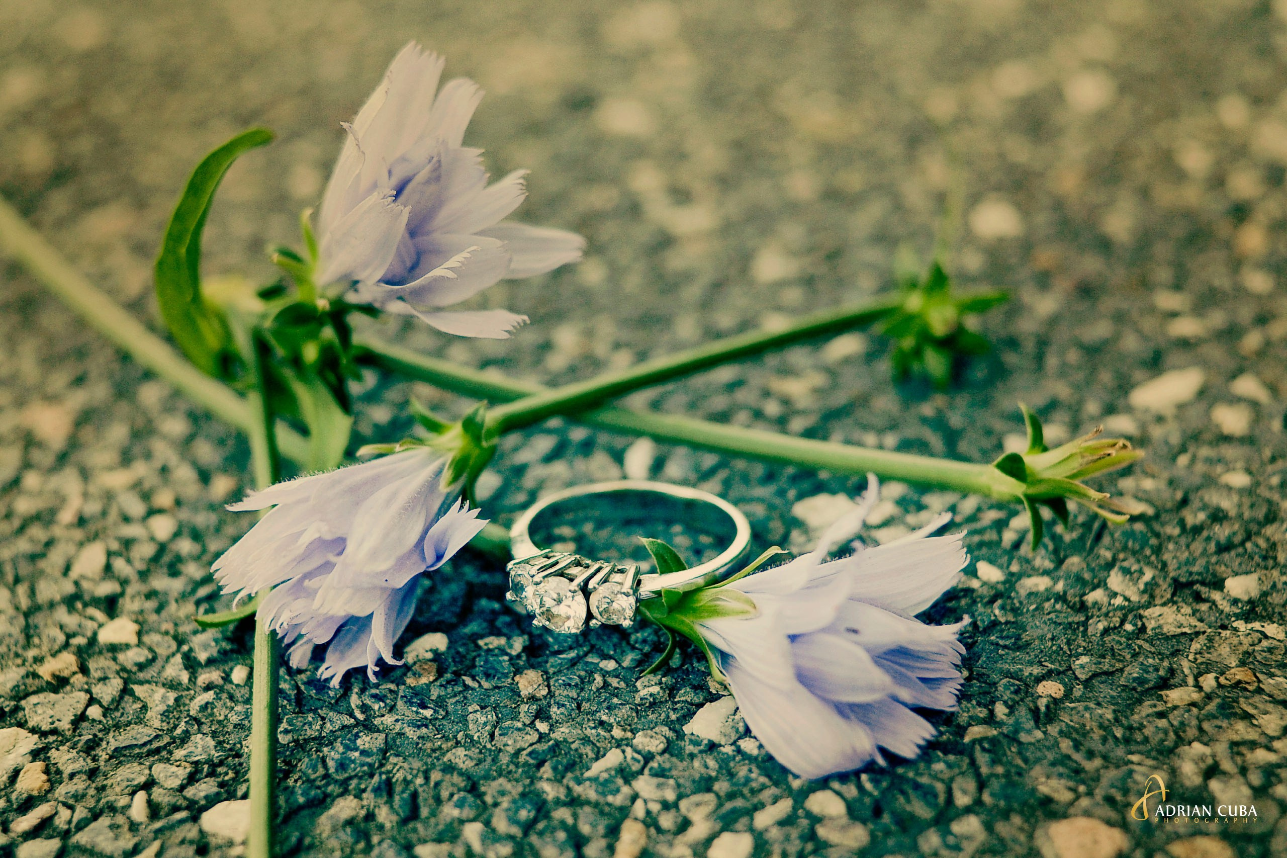 Sedinta foto Save the Date Iasi | Fotografie de logodna realizata de Adrian Cuba