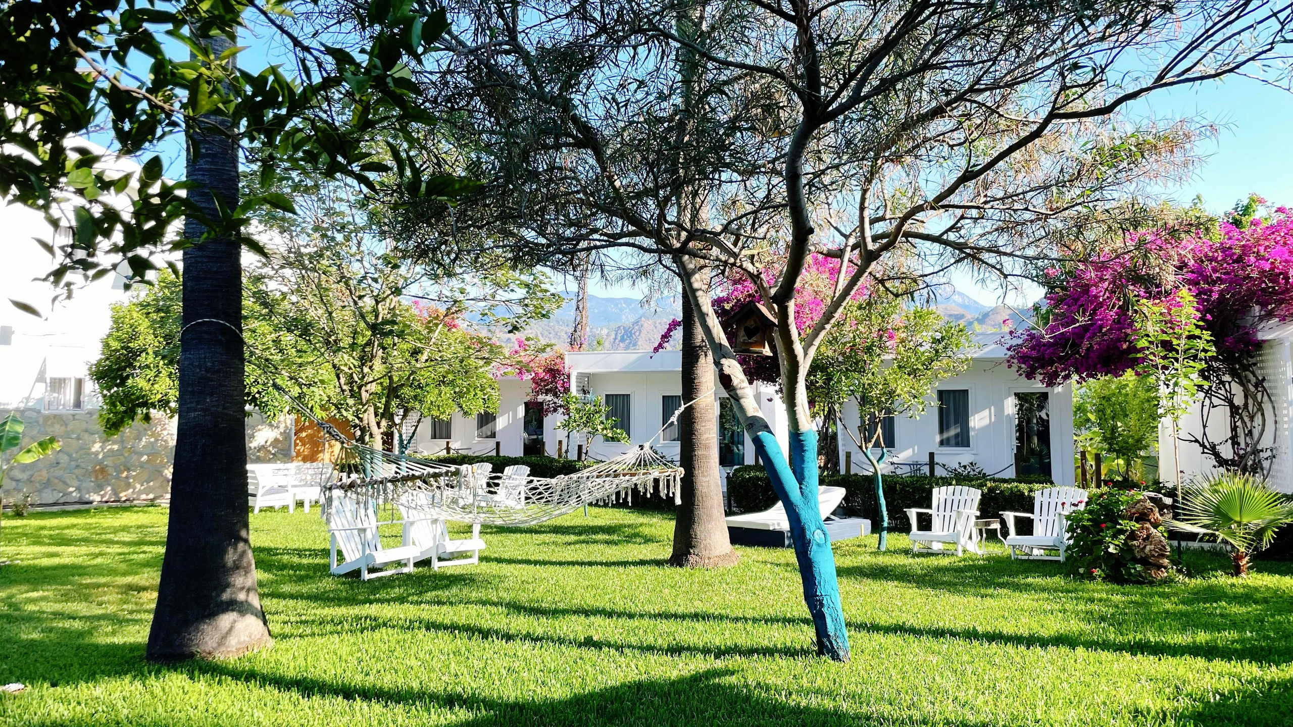 Йога-Ретрит в Турции