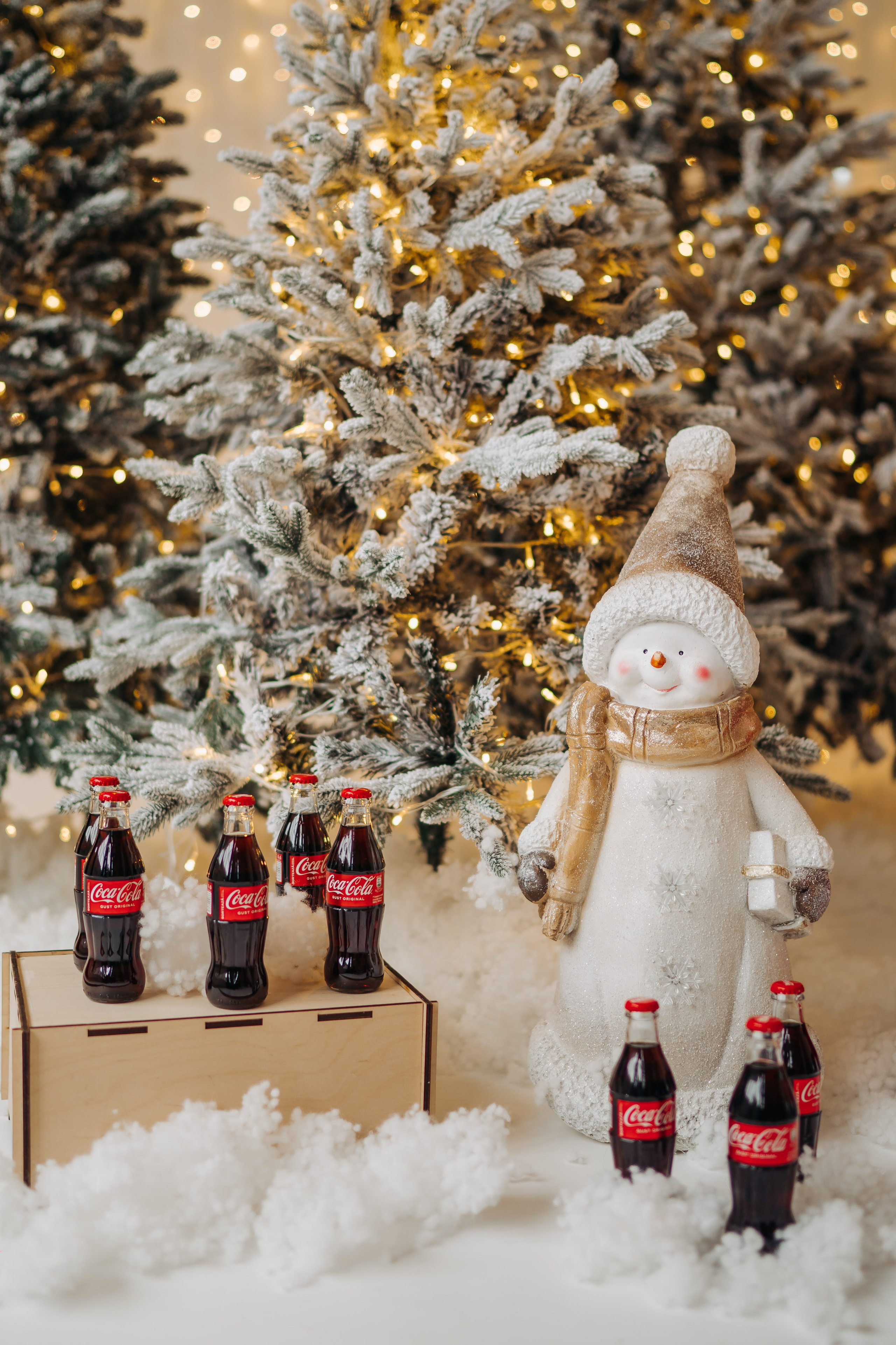 Ședința foto de Crăciun. Diana Muntean Photography