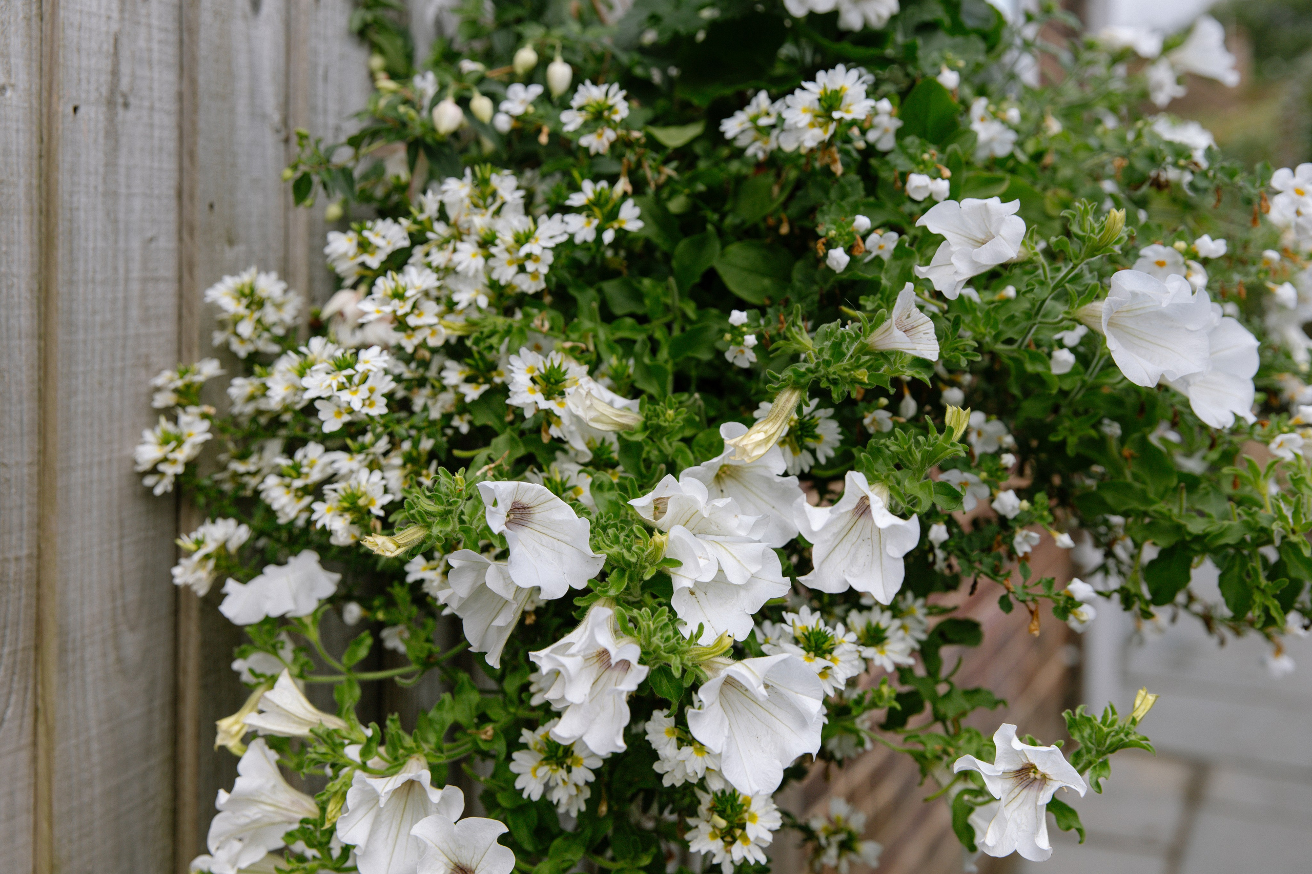 Intimate and emotional wedding. Timeless Wedding & Event Photography — based London, working across Europe