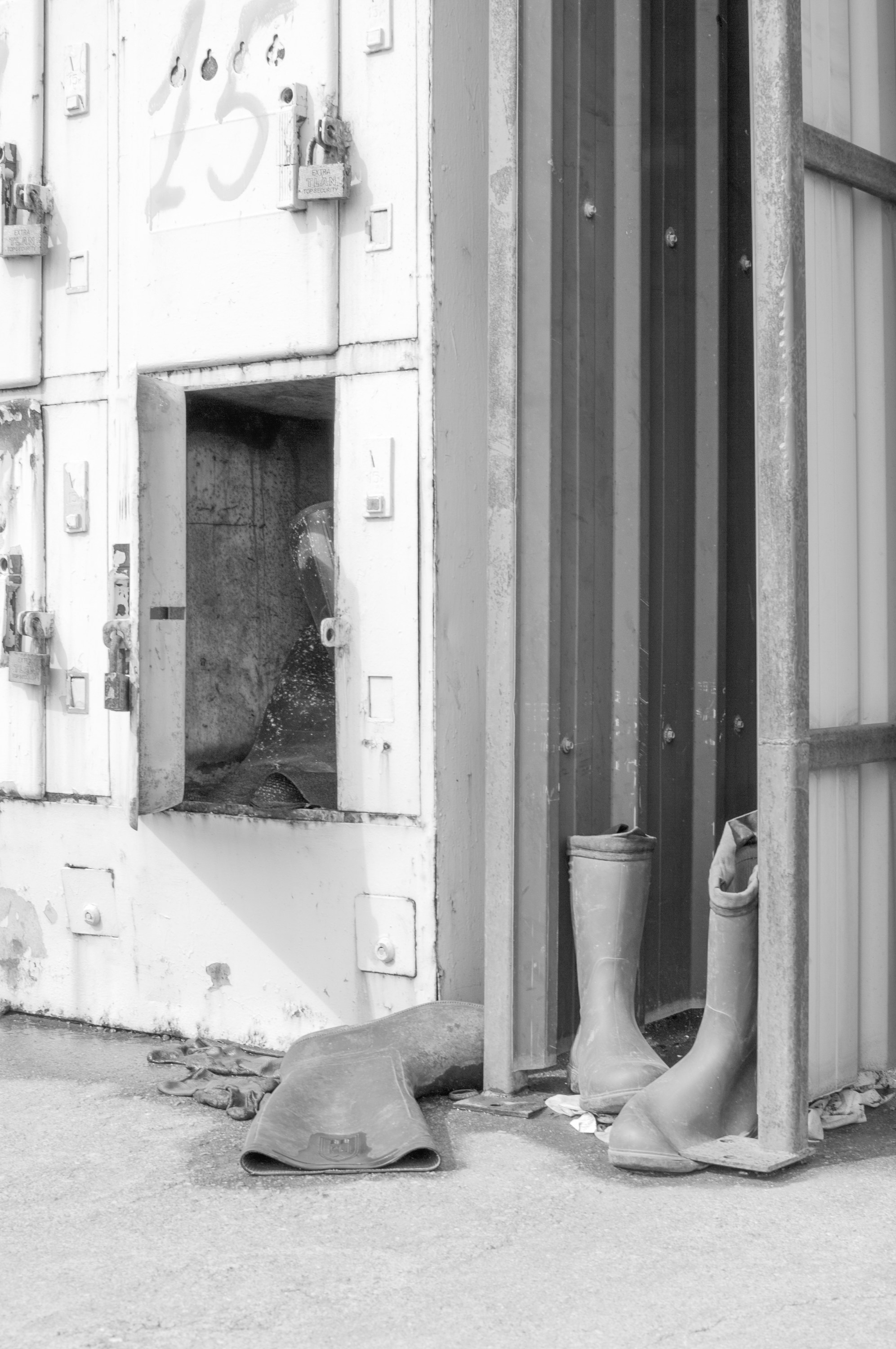 Under the Phasis' Sun. Mayya Kelova artist