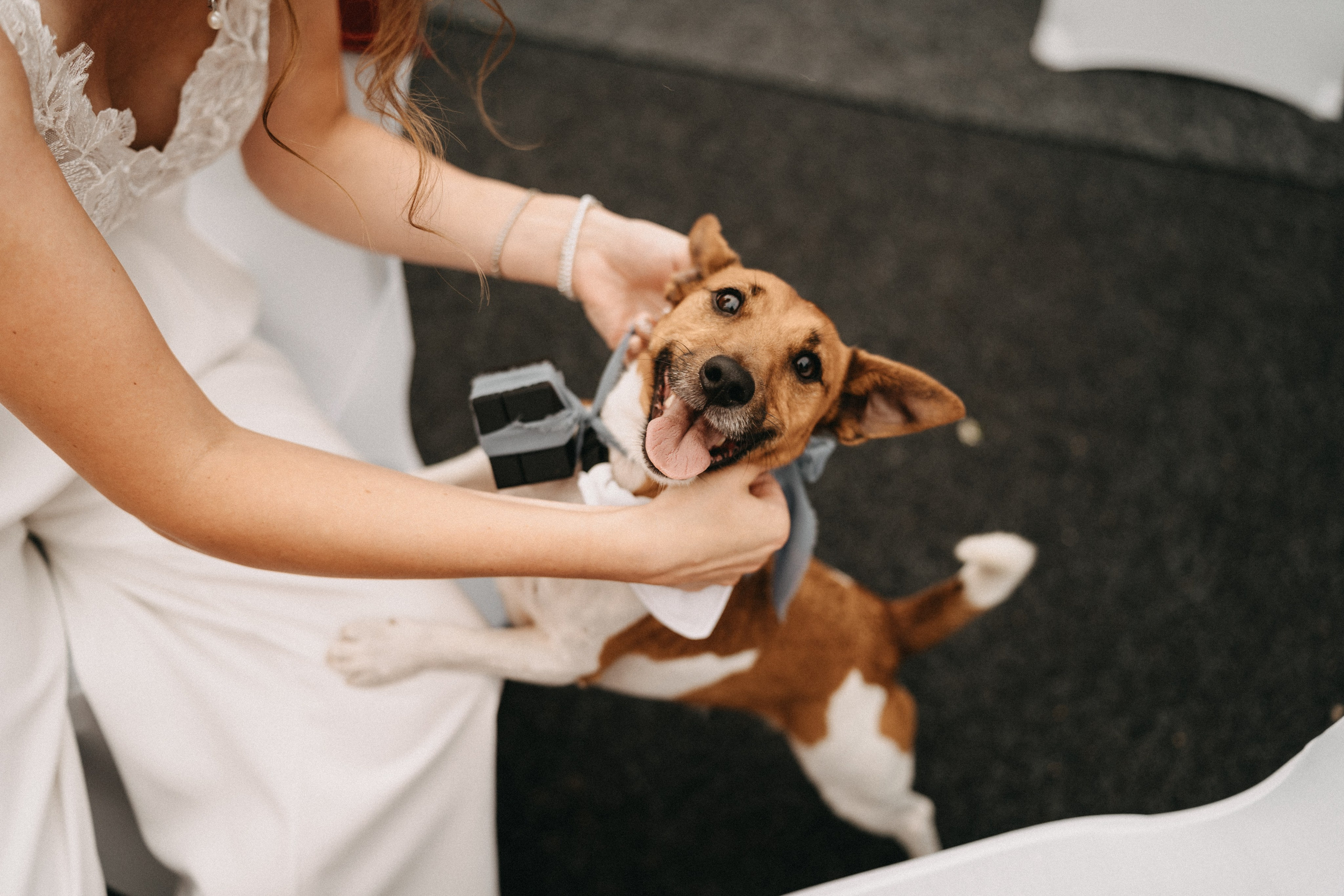 Hochzeitsreportage. Thorben Ihler - Dein Fotograf aus Emden
