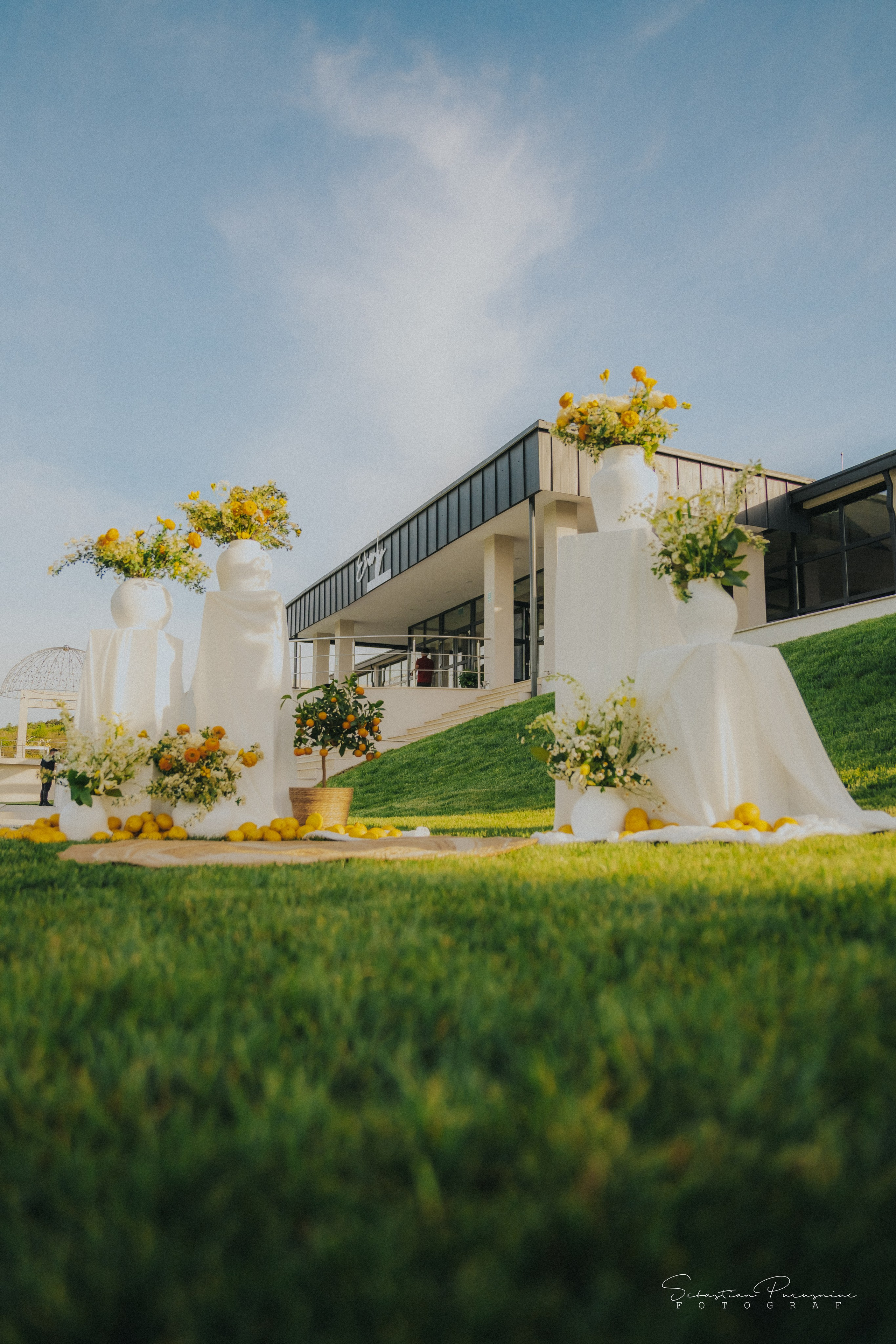 Love & Lemons. Sebastian Purusniuc Fotograf - Iasi