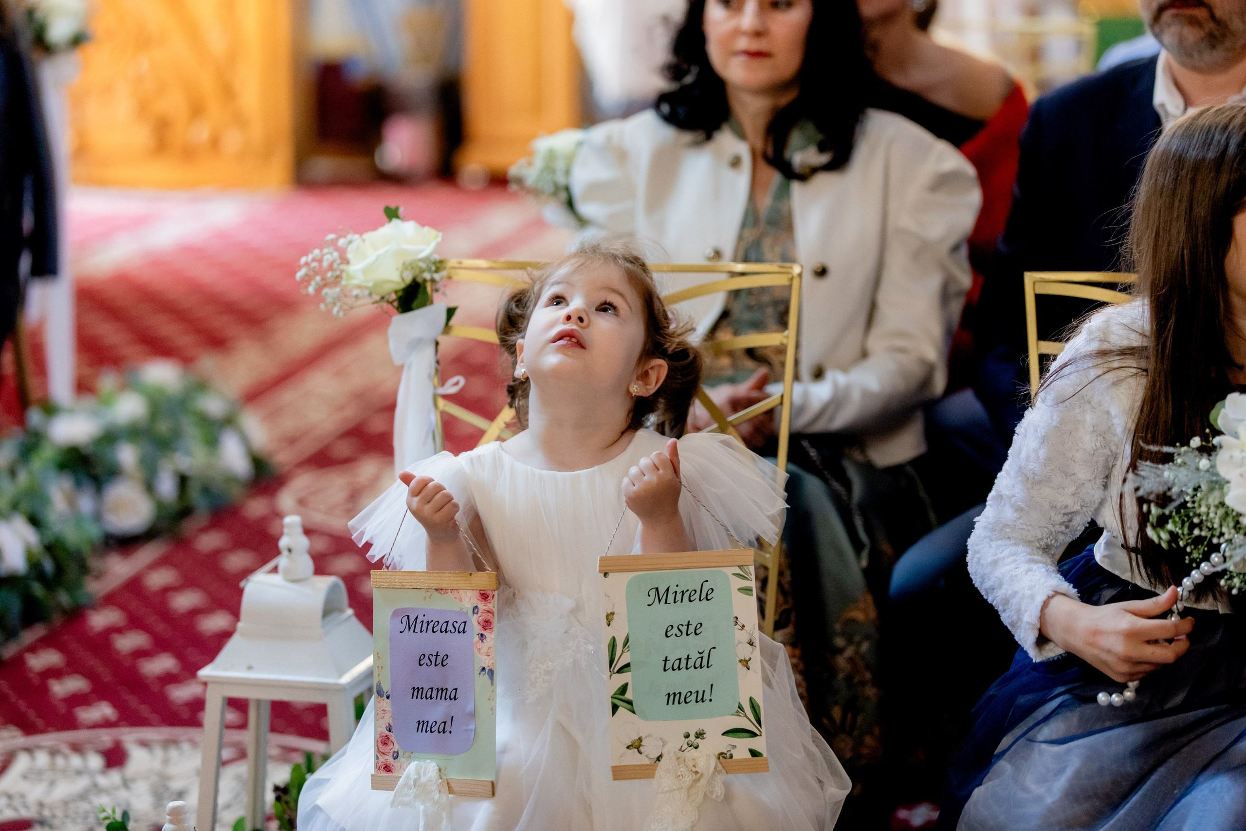 servicii foto video Botoșani. fotograf Botoșani . Alin Chirila fotograf. fotograf nunta. fotograf nunta Botosani.- Fotografii nuntă Daniel & Bianca 2024 – momente de neuitat - Nuntă Daniel & Bianca 2024 – iubire și fericire în fiecare fotografie - Detalii din ziua nunții Daniel & Bianca 2024 – rochie de mireasă și buchet - Daniel & Bianca 2024 – ședință foto nuntă romantică - Fotograf profesionist nuntă Botoșani, Daniel & Bianca 2024 - Imagini din ziua nunții Daniel & Bianca – momente pline de emoție - Nuntă Daniel & Bianca 2024 – dragoste și fericire în fiecare cadru - Fotografii nunta Daniel & Bianca – momente de vis și frumusețe