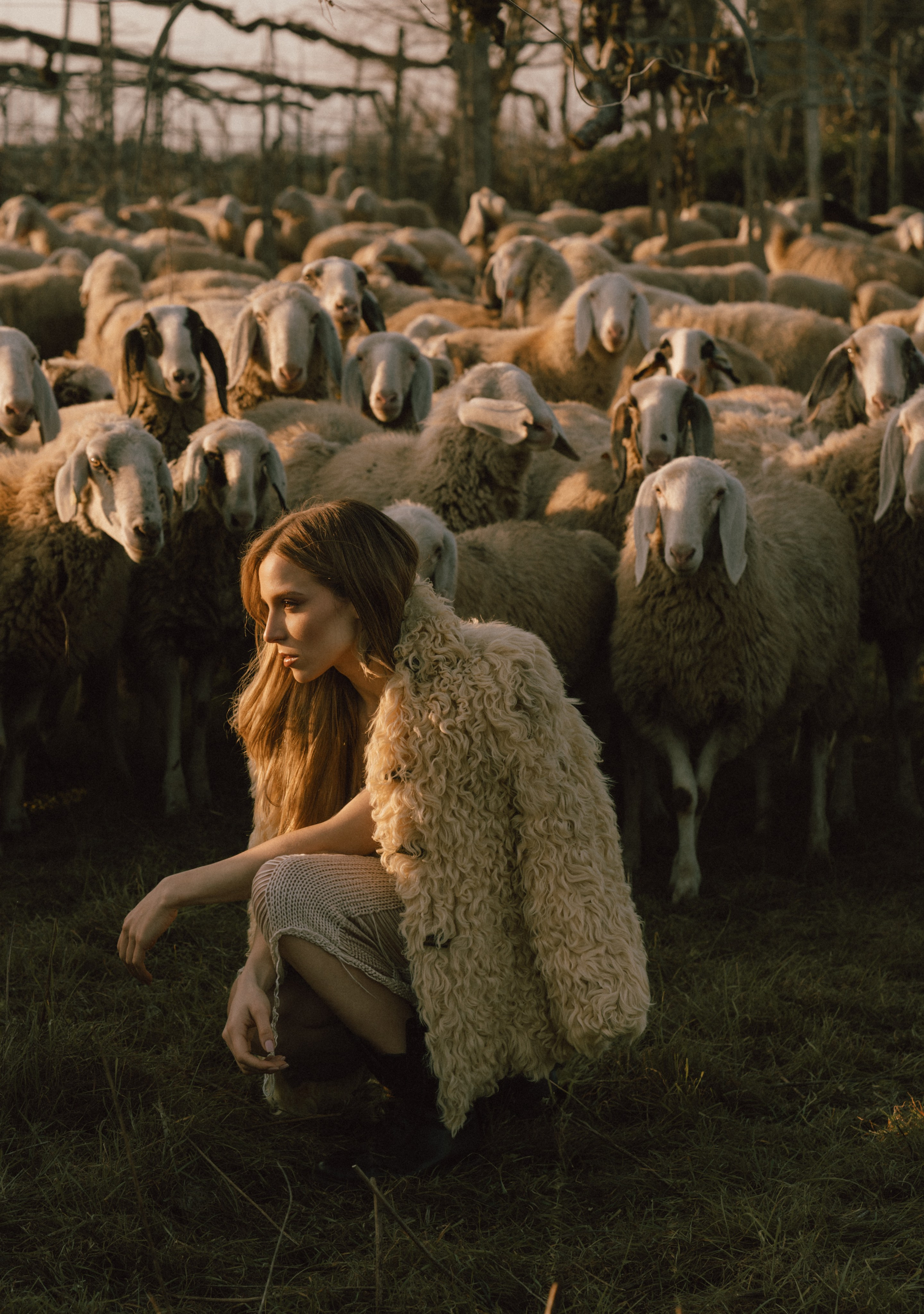 A thousand sheeps. Diana Fedrigo | Fotografa matrimoni in Italia