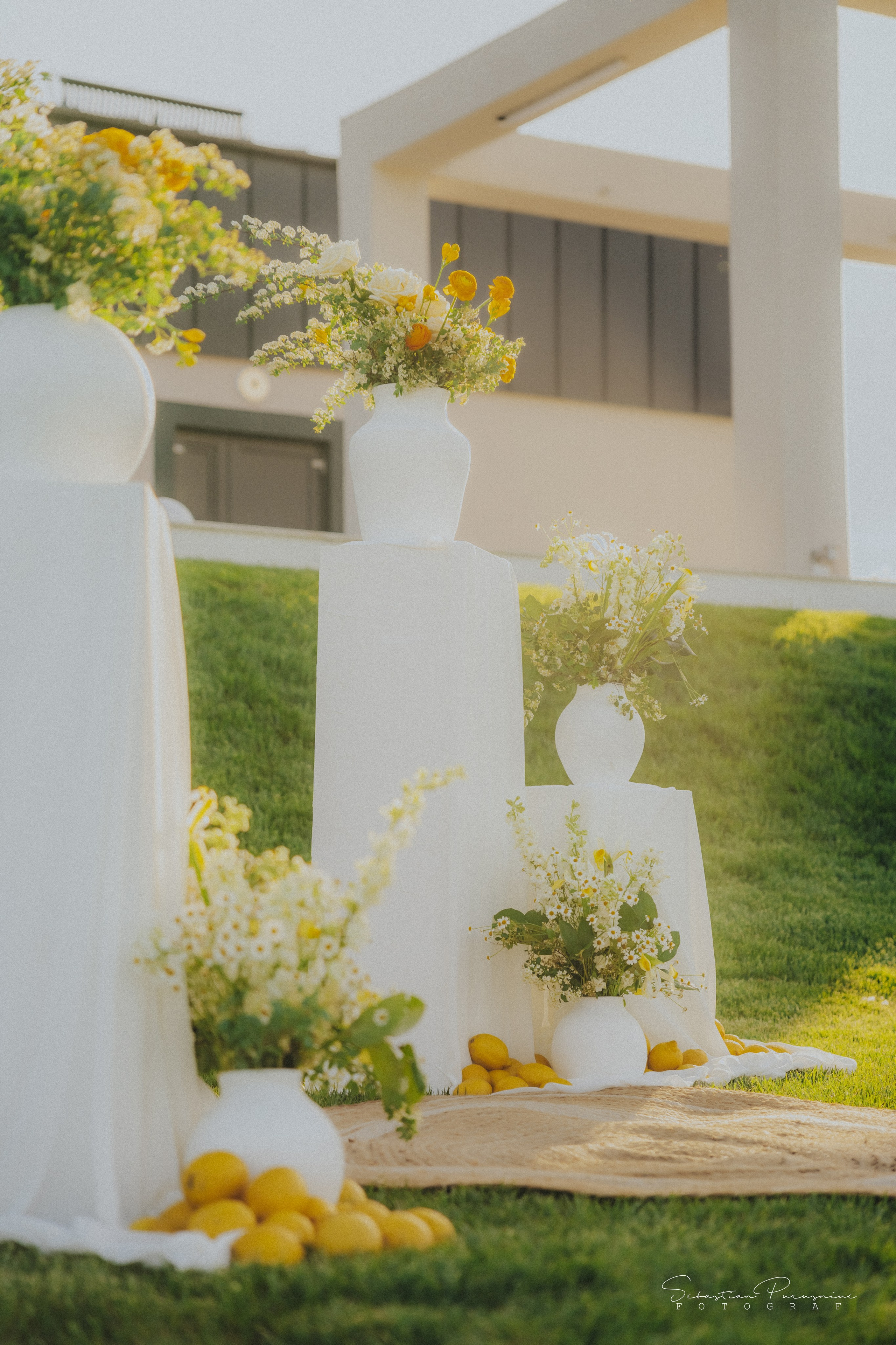 Love & Lemons. Sebastian Purusniuc Fotograf - Iasi