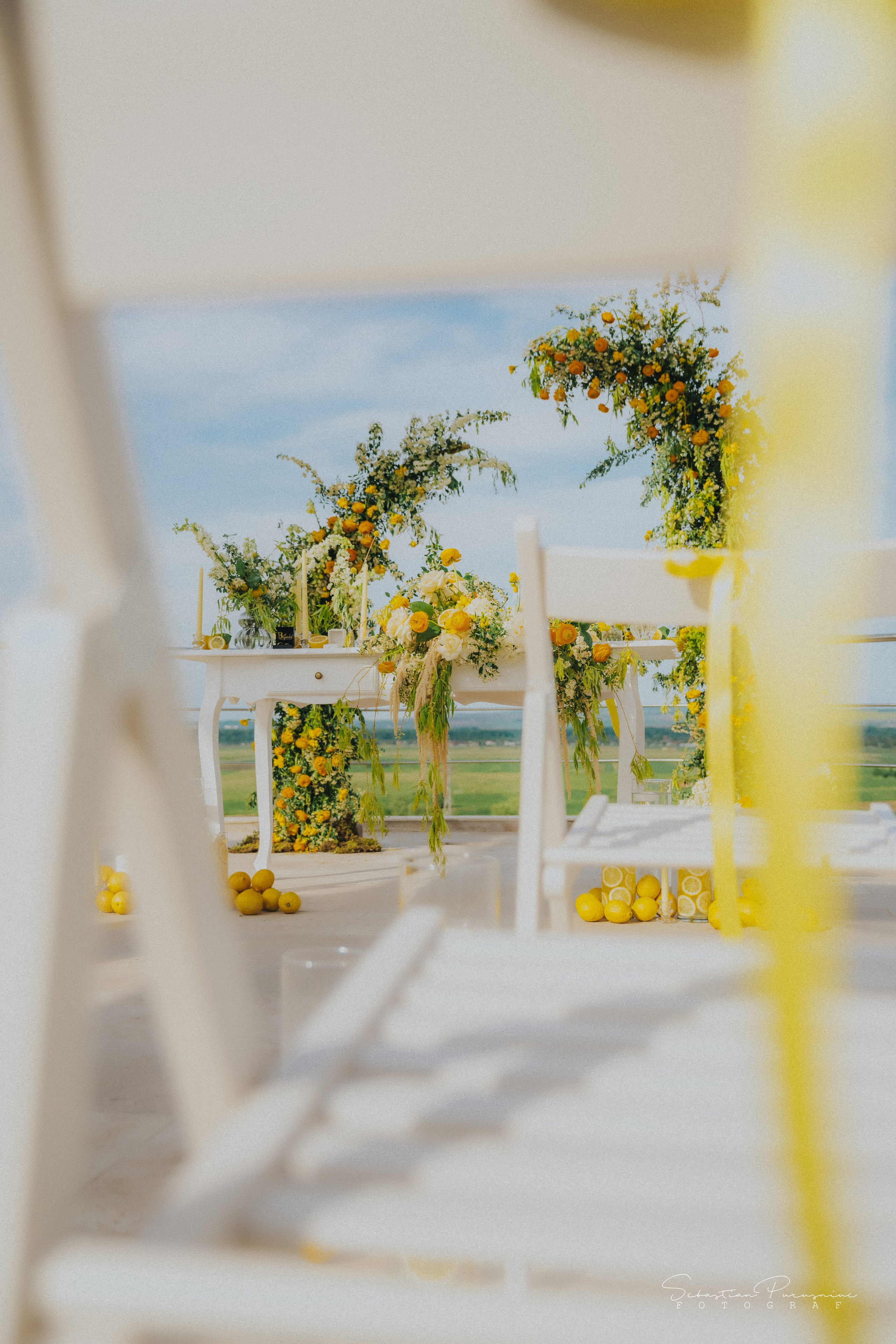 Love & Lemons. Sebastian Purusniuc Fotograf - Iasi