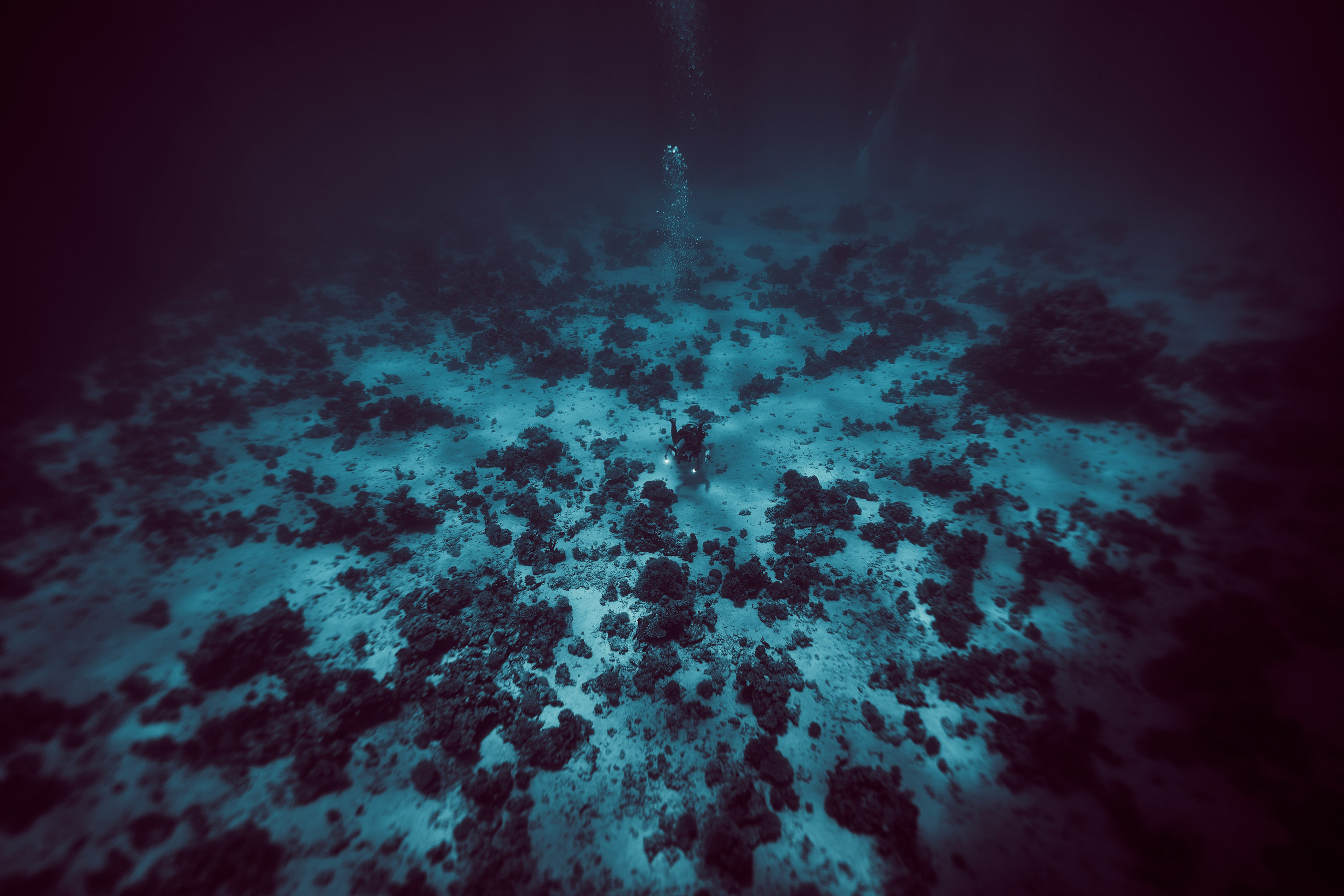 Podwodny fotograf - Andriej Szypilow - underwater photography. Tajemnica - wielka, głęboka i wszechobecna - to jest ta jakość, której przede wszystkim szukam w fotografii podwodnej...
